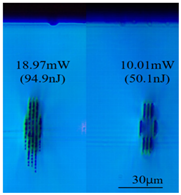 Sensors 24 05570 i016