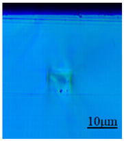 Sensors 24 05570 i019