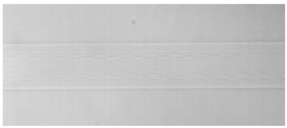 Sensors 24 05570 i020