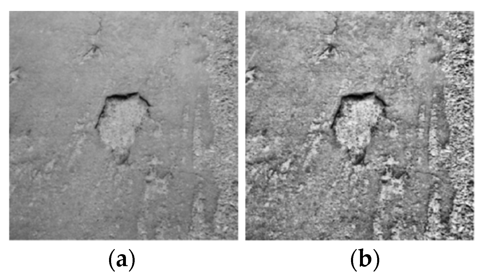 Sensors 24 05577 g003