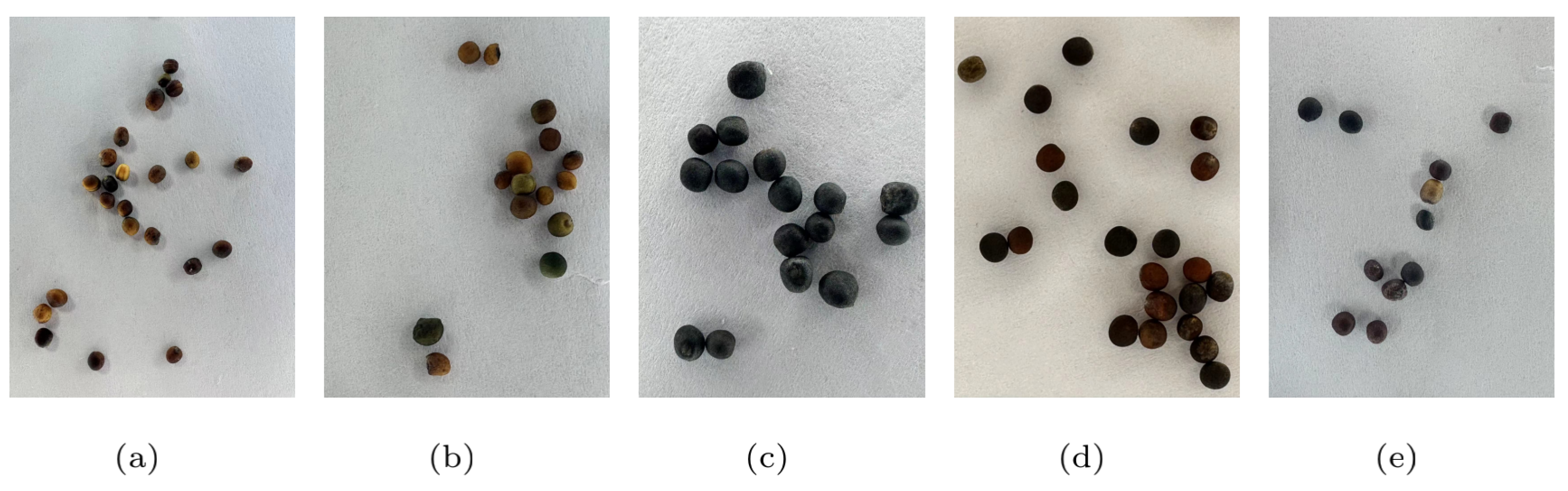 Sensors 24 05585 g001