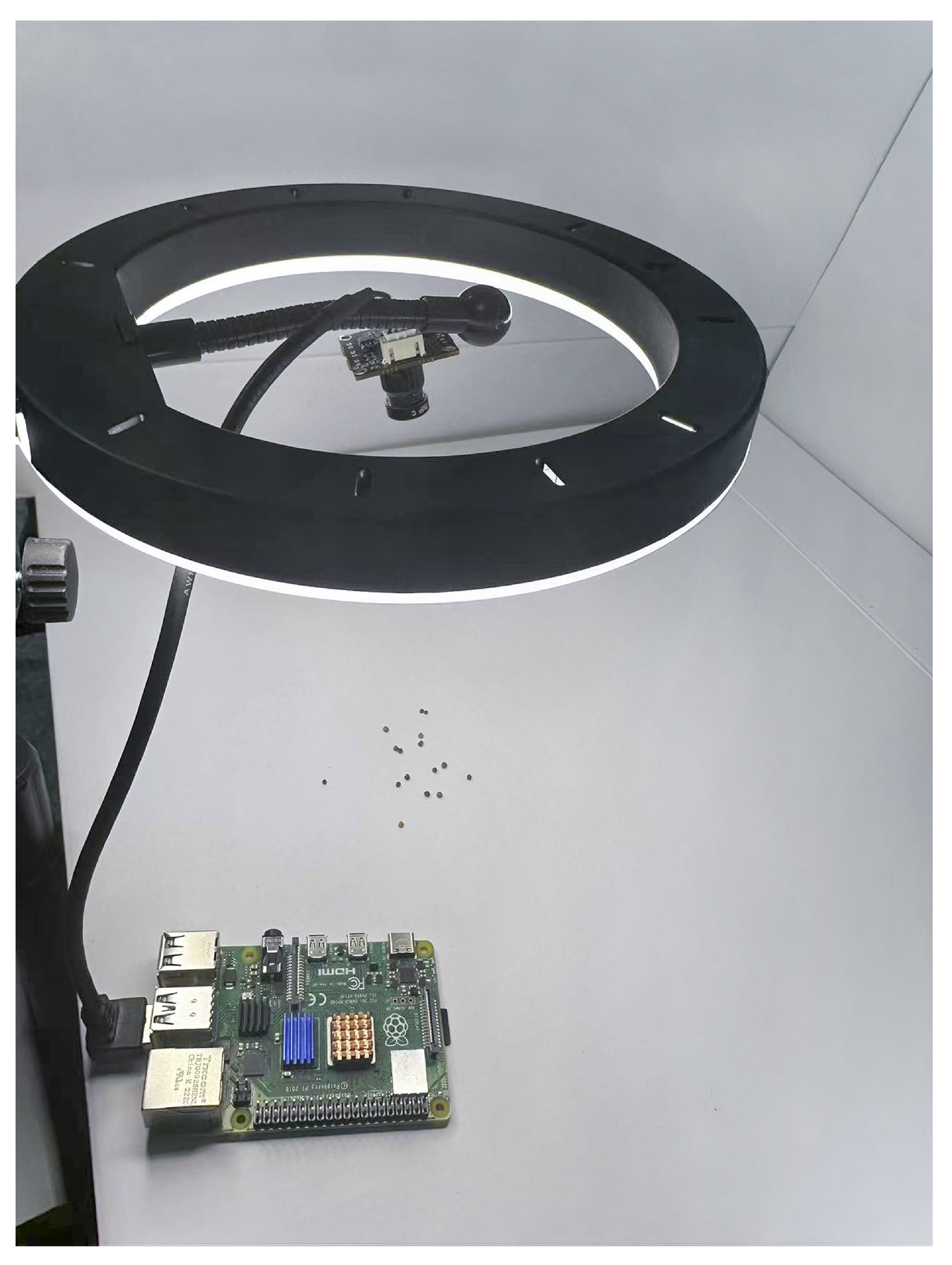 Sensors 24 05585 g006