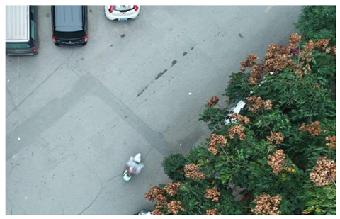 Sensors 24 05586 i003