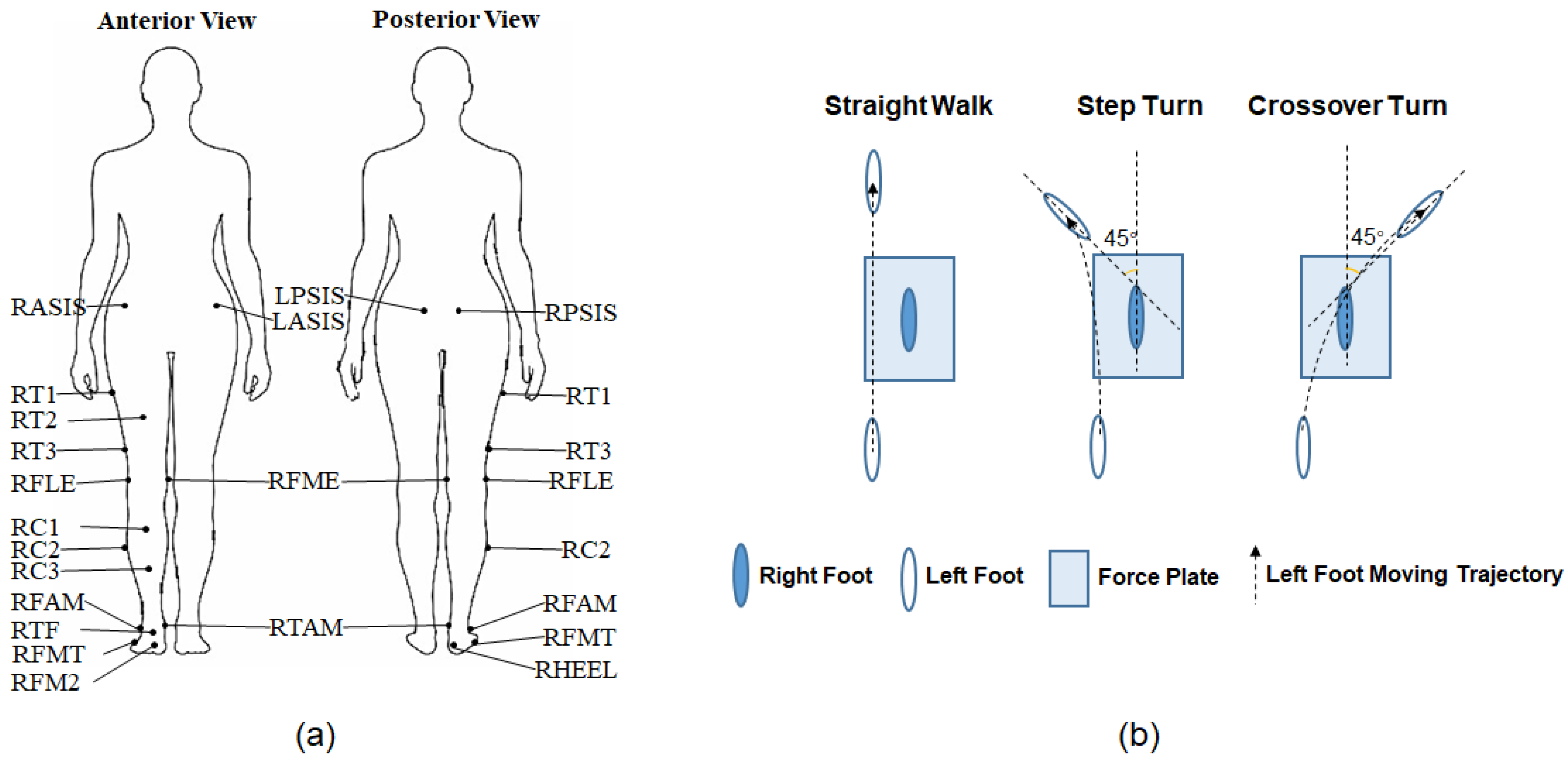 Sensors 24 05595 g001