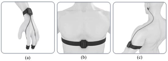 Sensors 24 05604 g001
