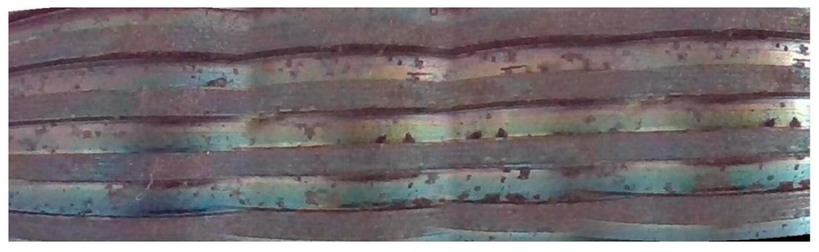 Sensors 24 05636 g011