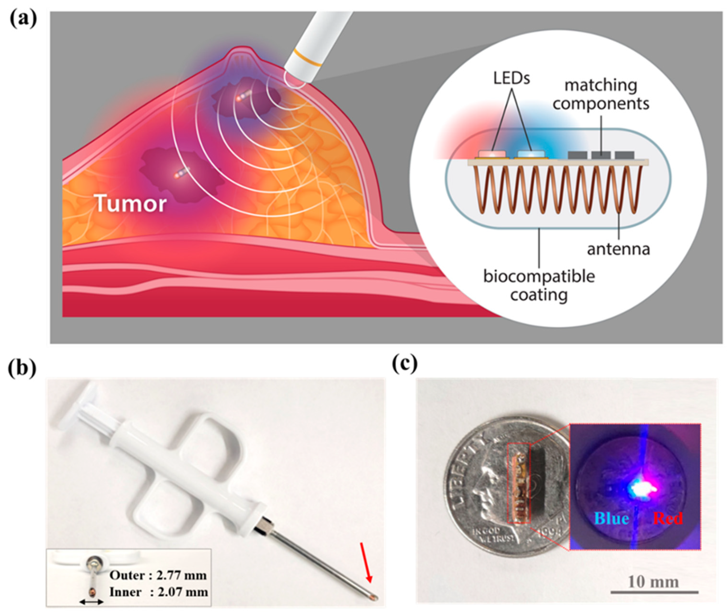 Sensors 24 05639 g001 Sensors 24 05639 g001