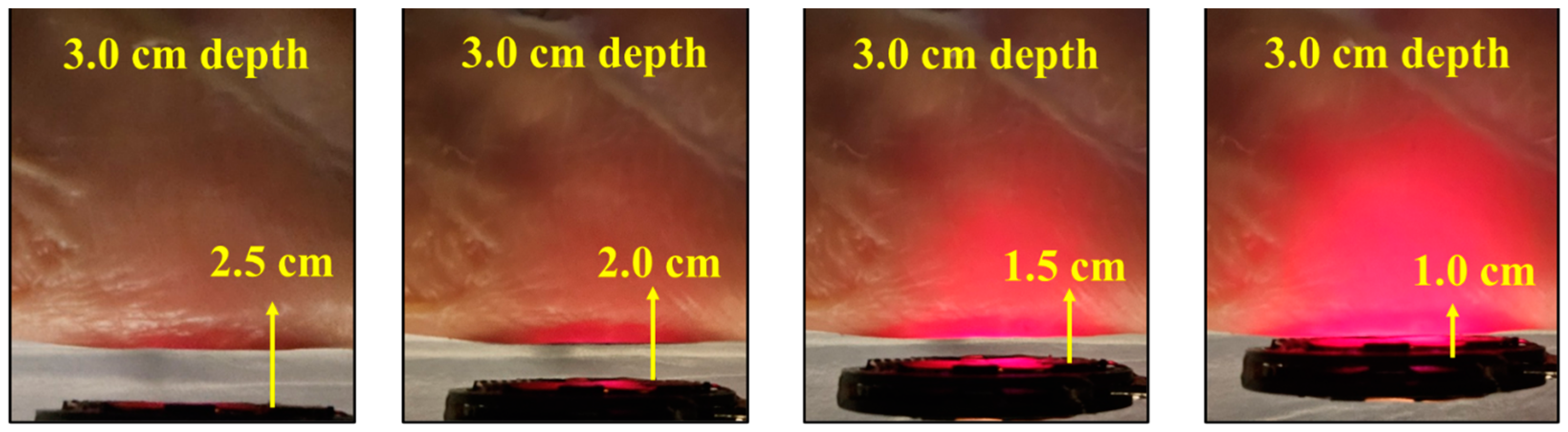 Sensors 24 05639 g011 Sensors 24 05639 g011