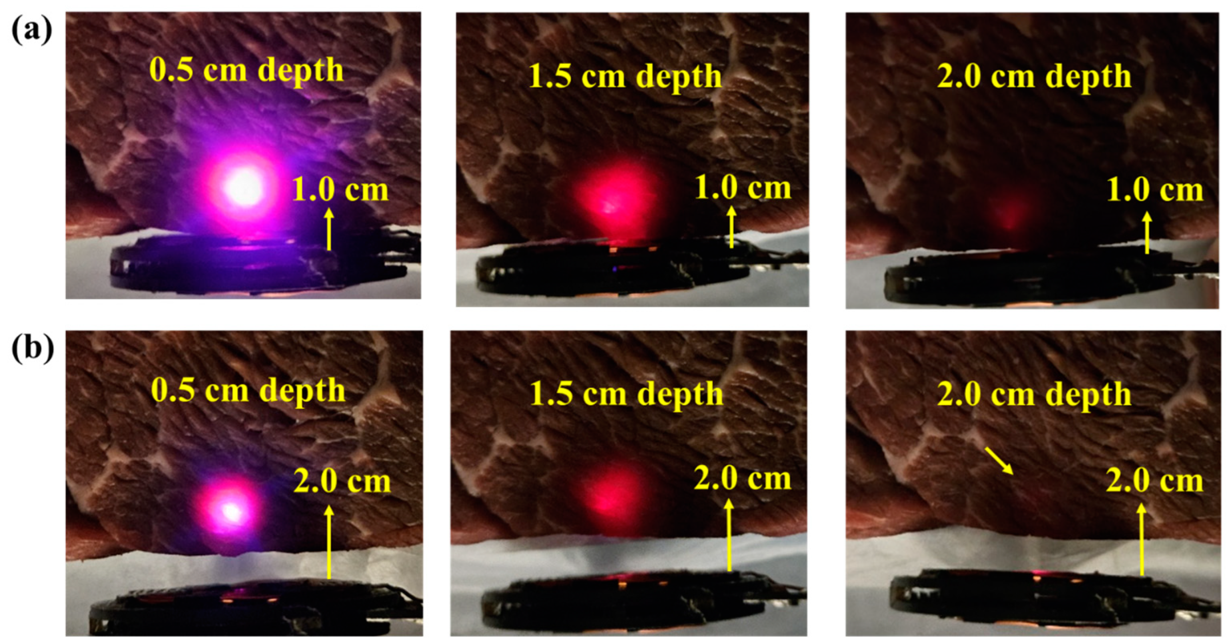 Sensors 24 05639 g012 Sensors 24 05639 g012