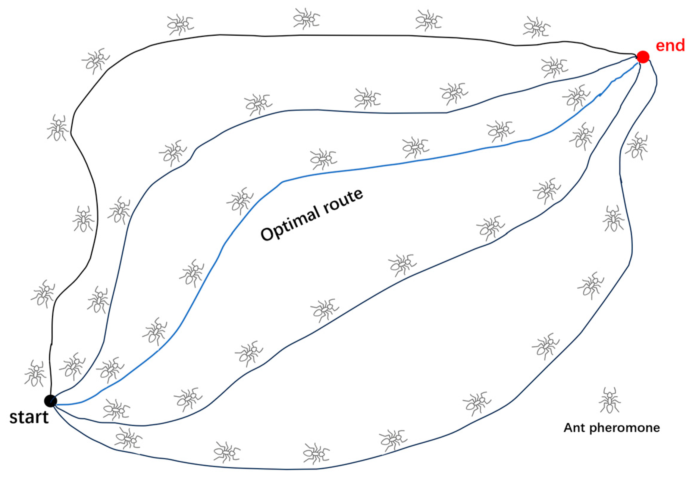 Sensors 24 05647 g001