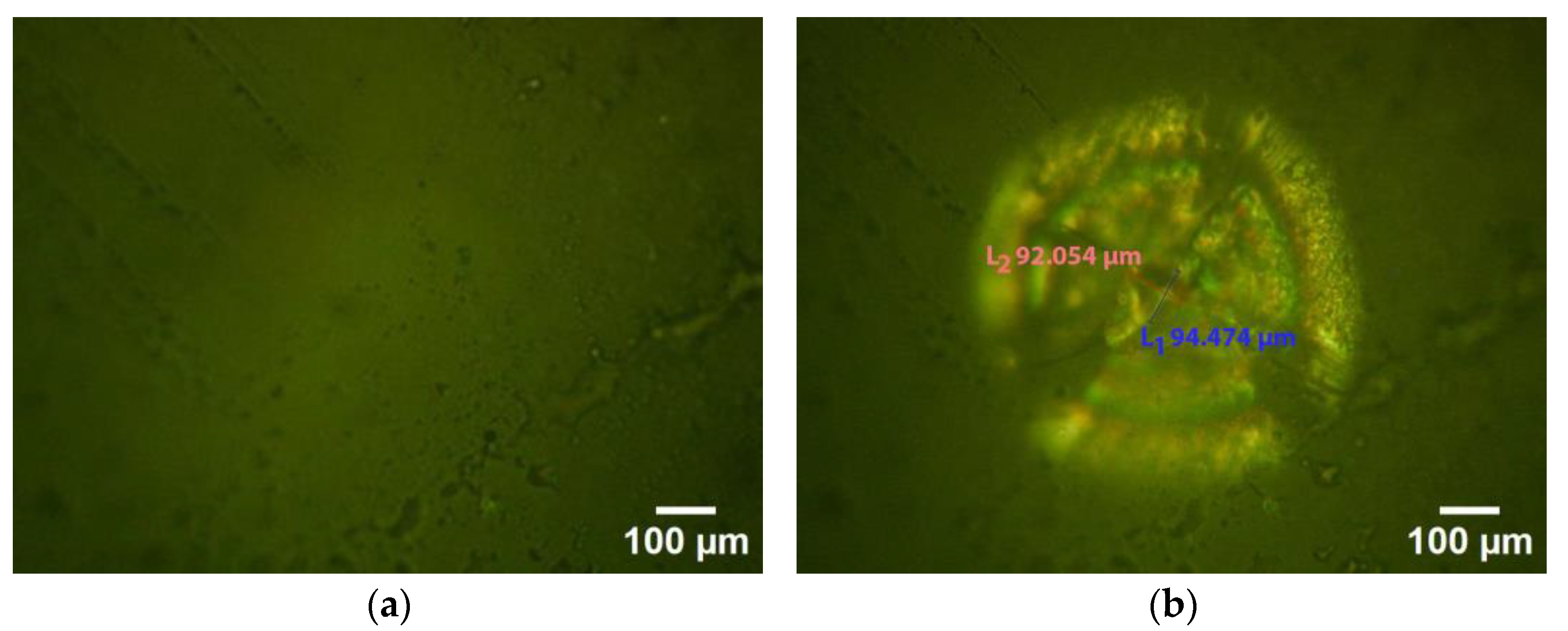 Sensors 24 05682 g008