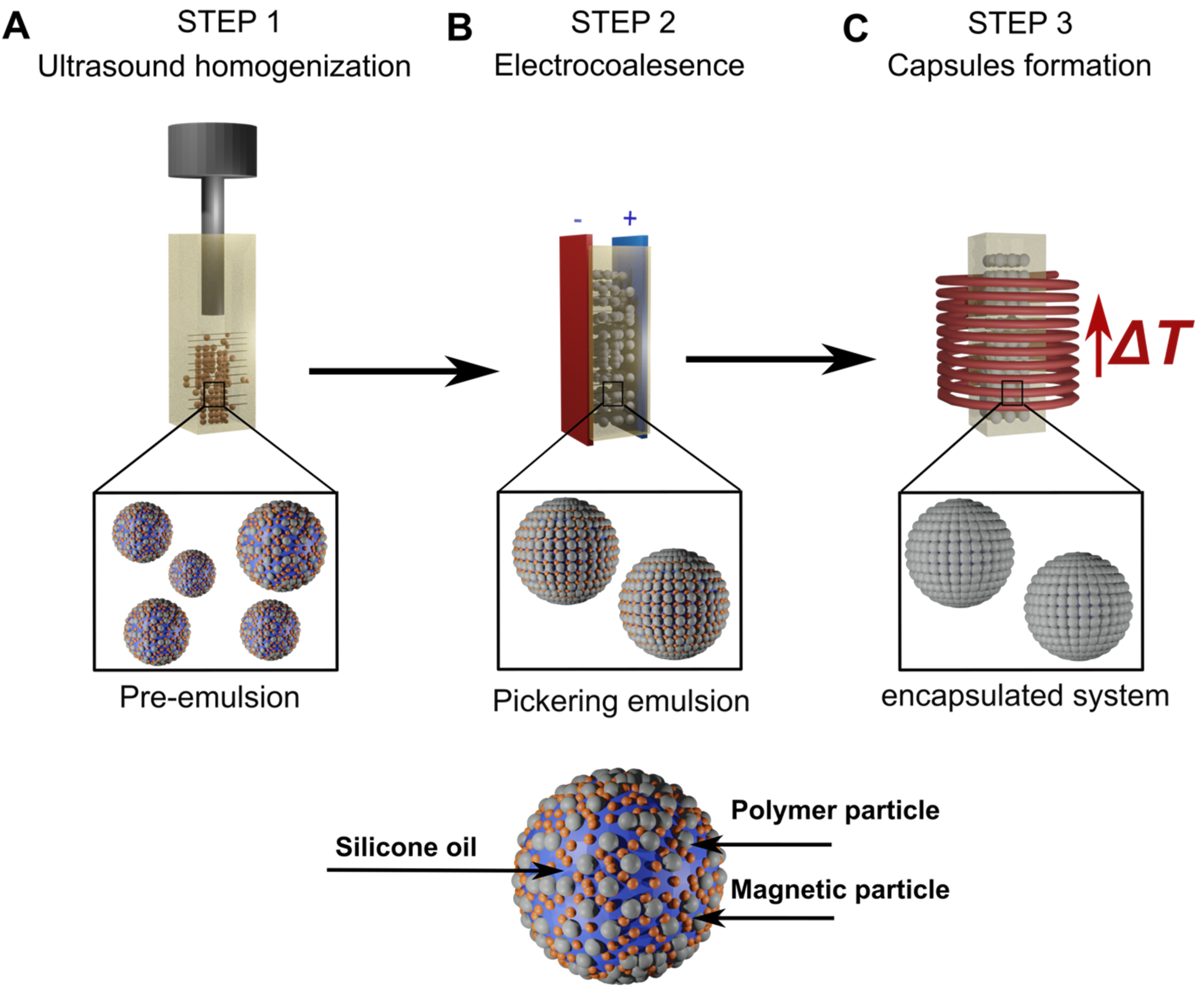 Sensors 24 05710 g001