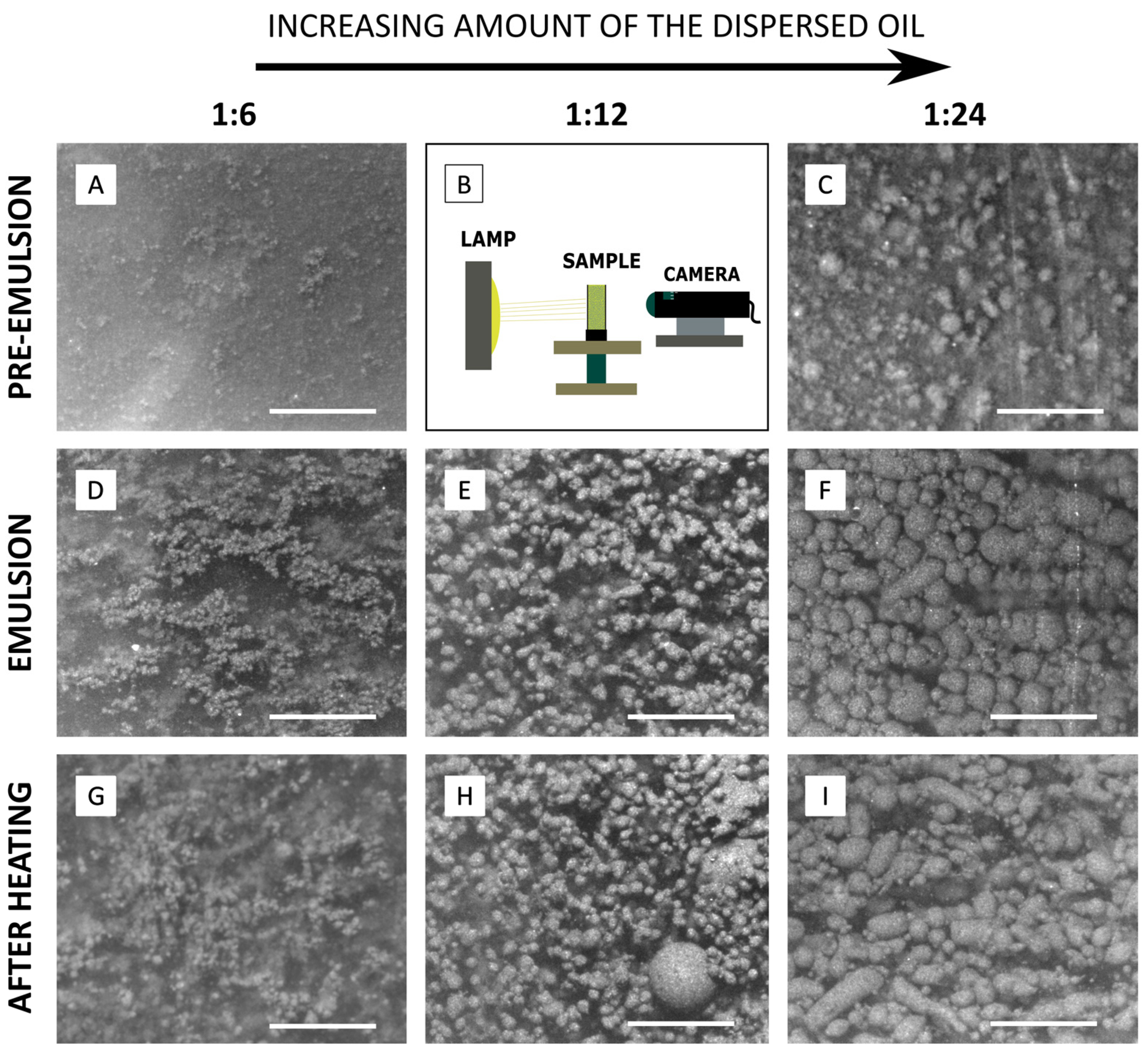 Sensors 24 05710 g004