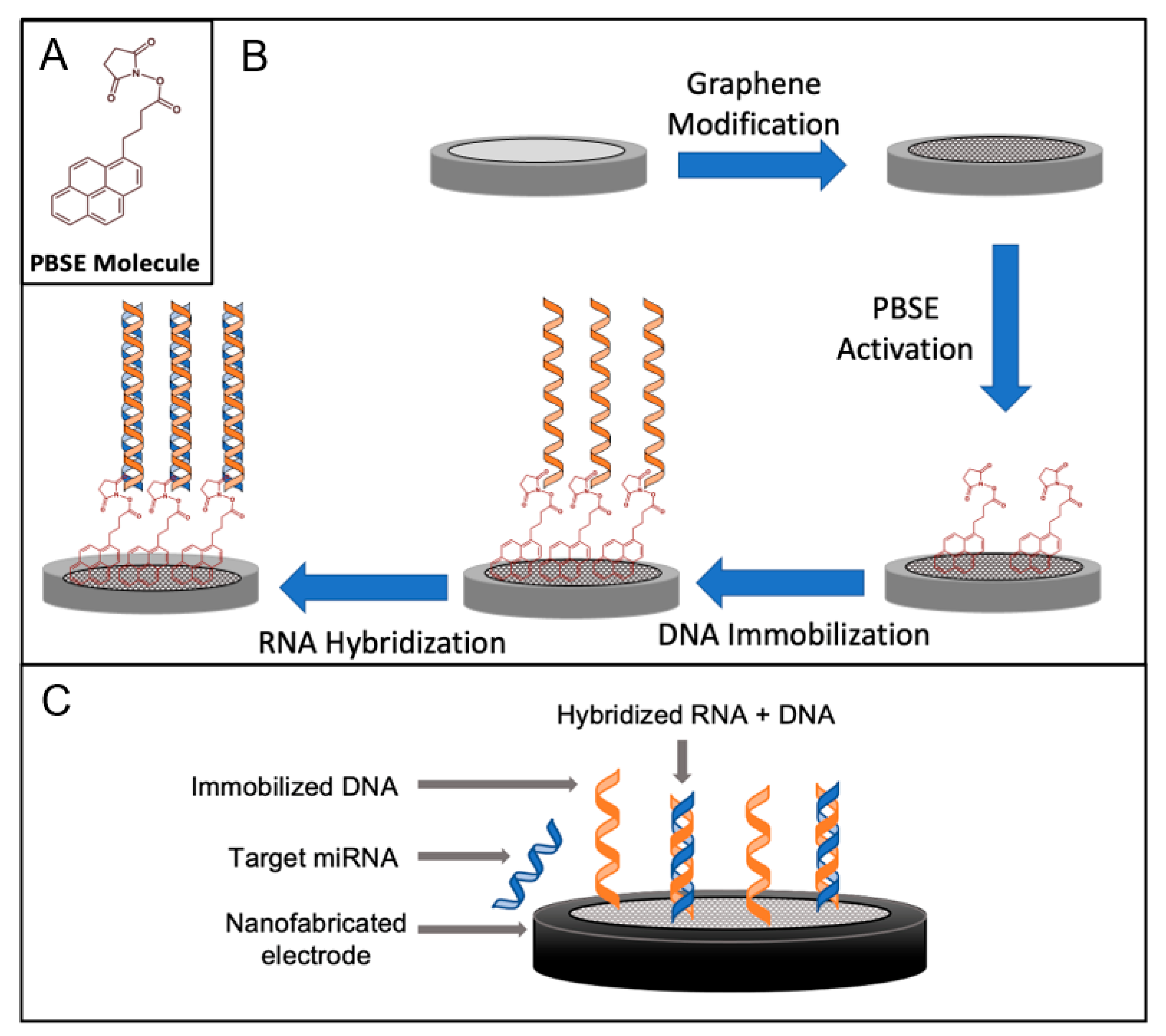 Sensors 24 05747 g001