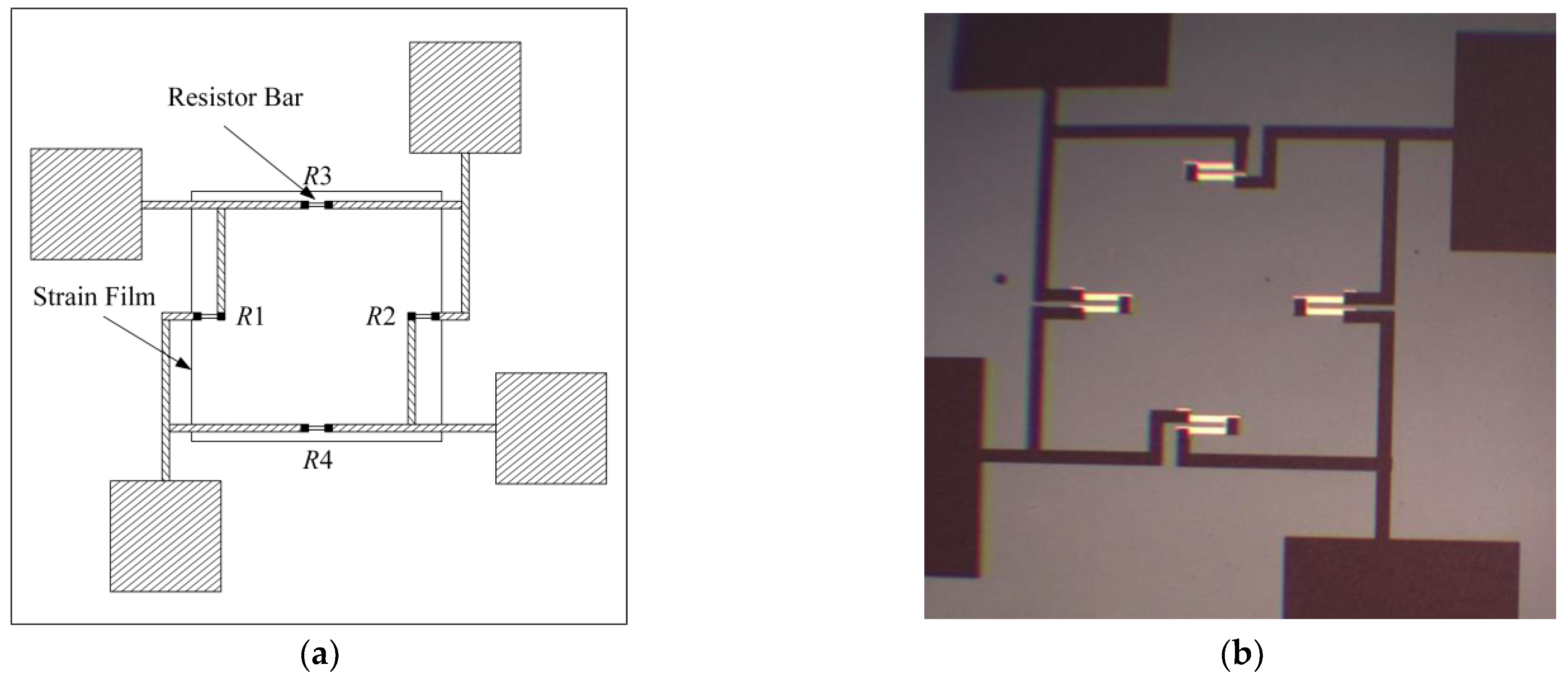 Sensors 24 05765 g002