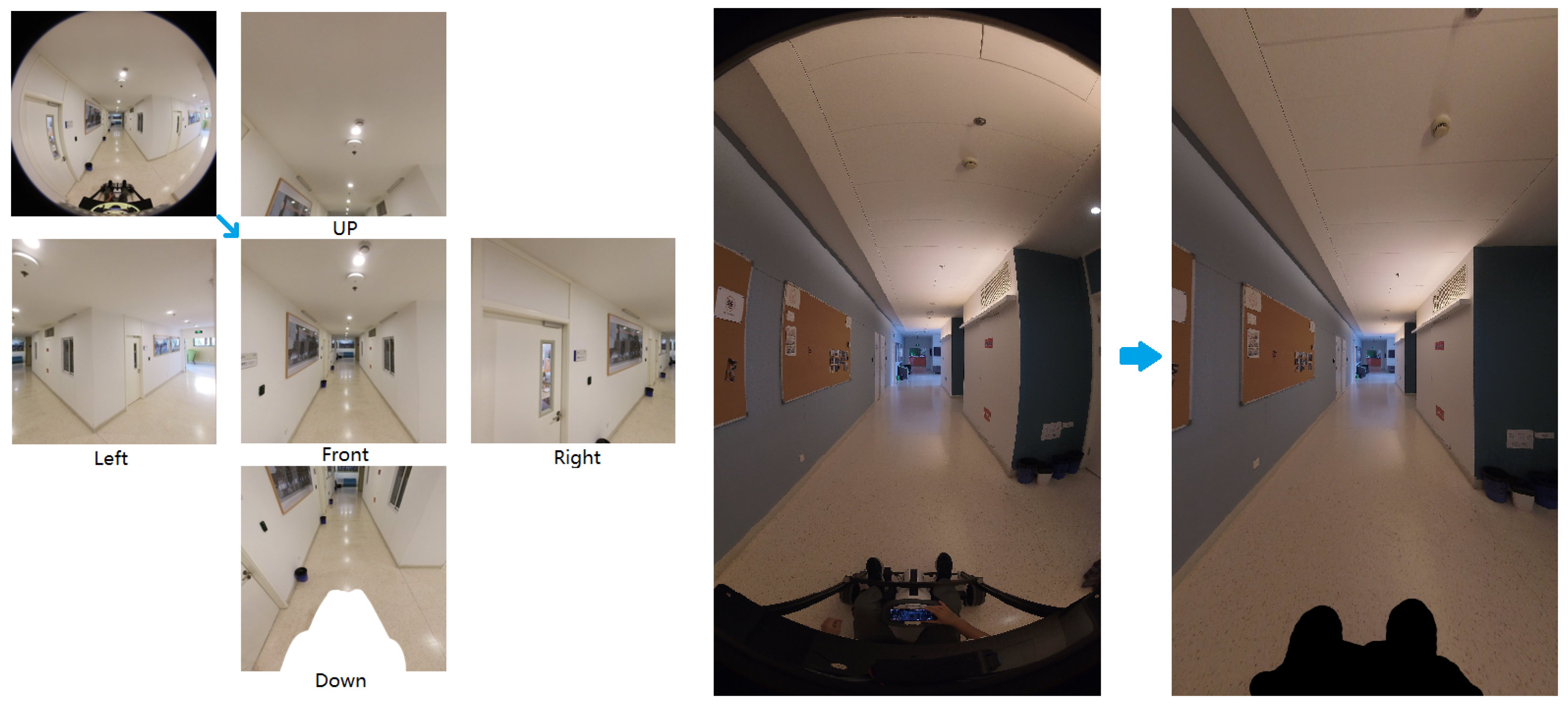 Sensors 24 05798 g003