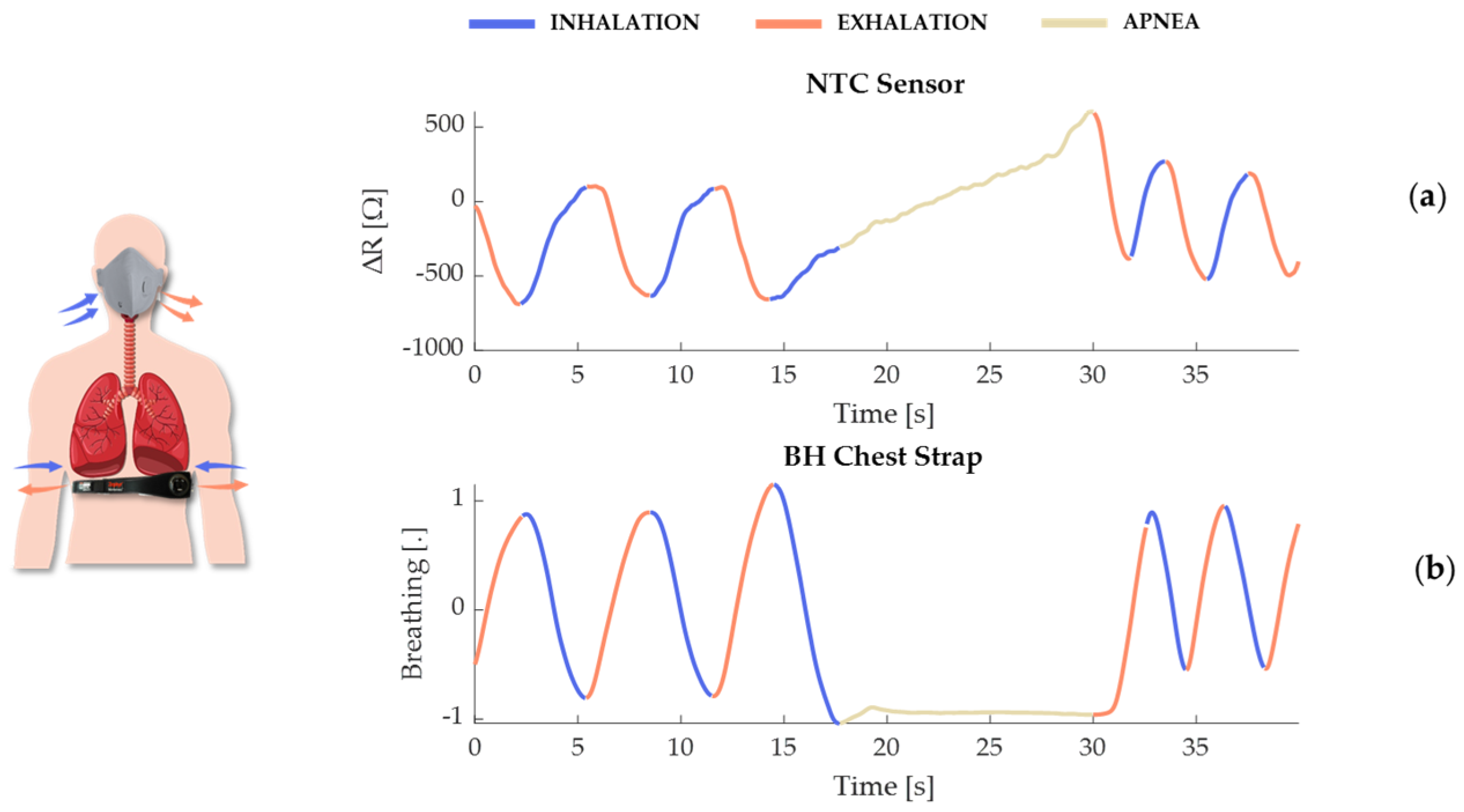 Sensors 24 05815 g003