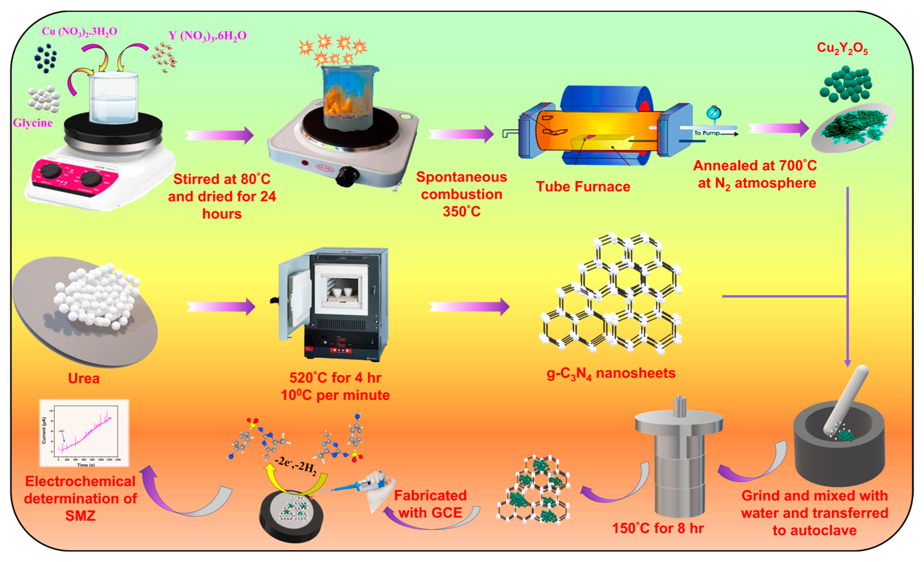 Sensors 24 05844 sch001
