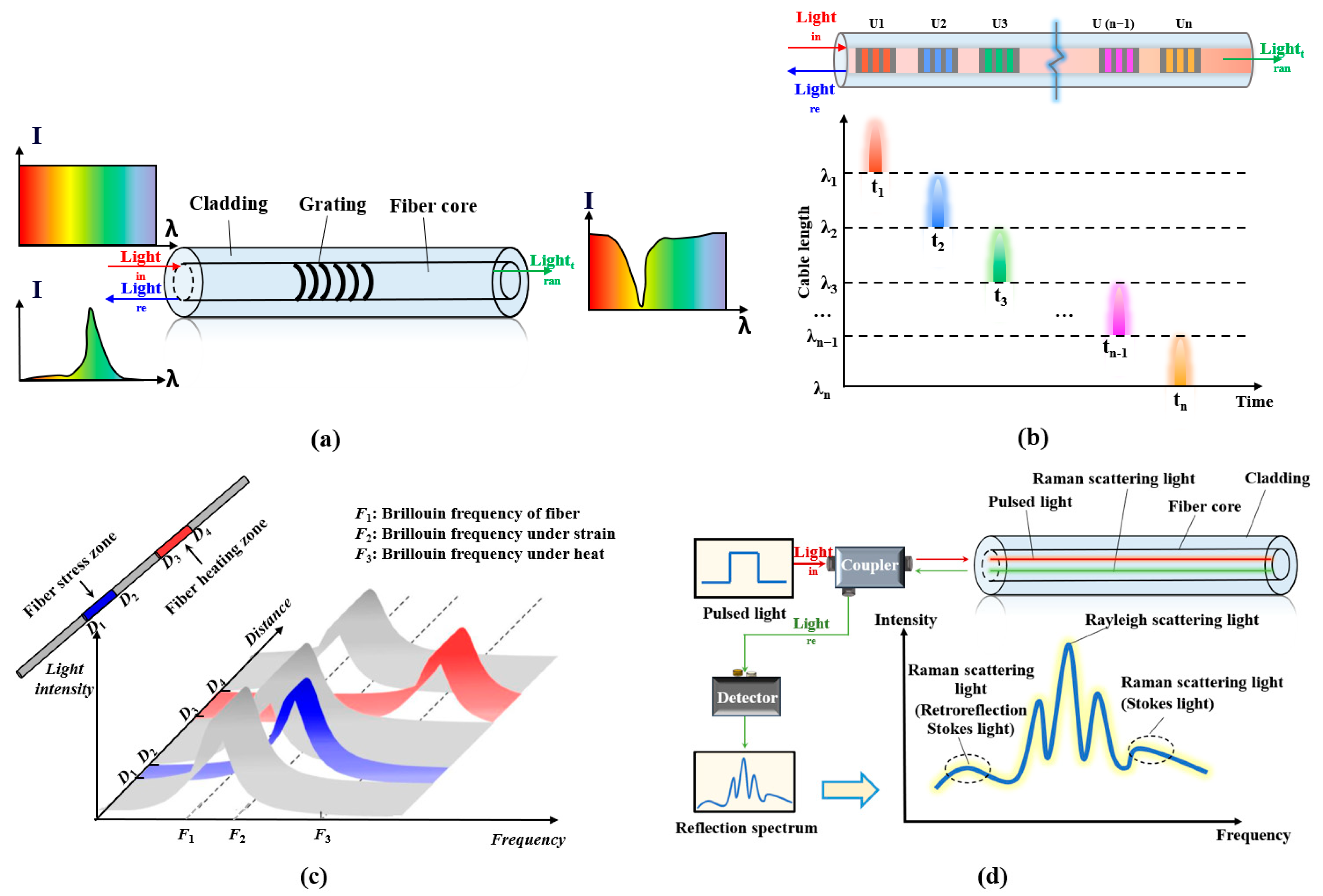 Sensors 24 05856 g011