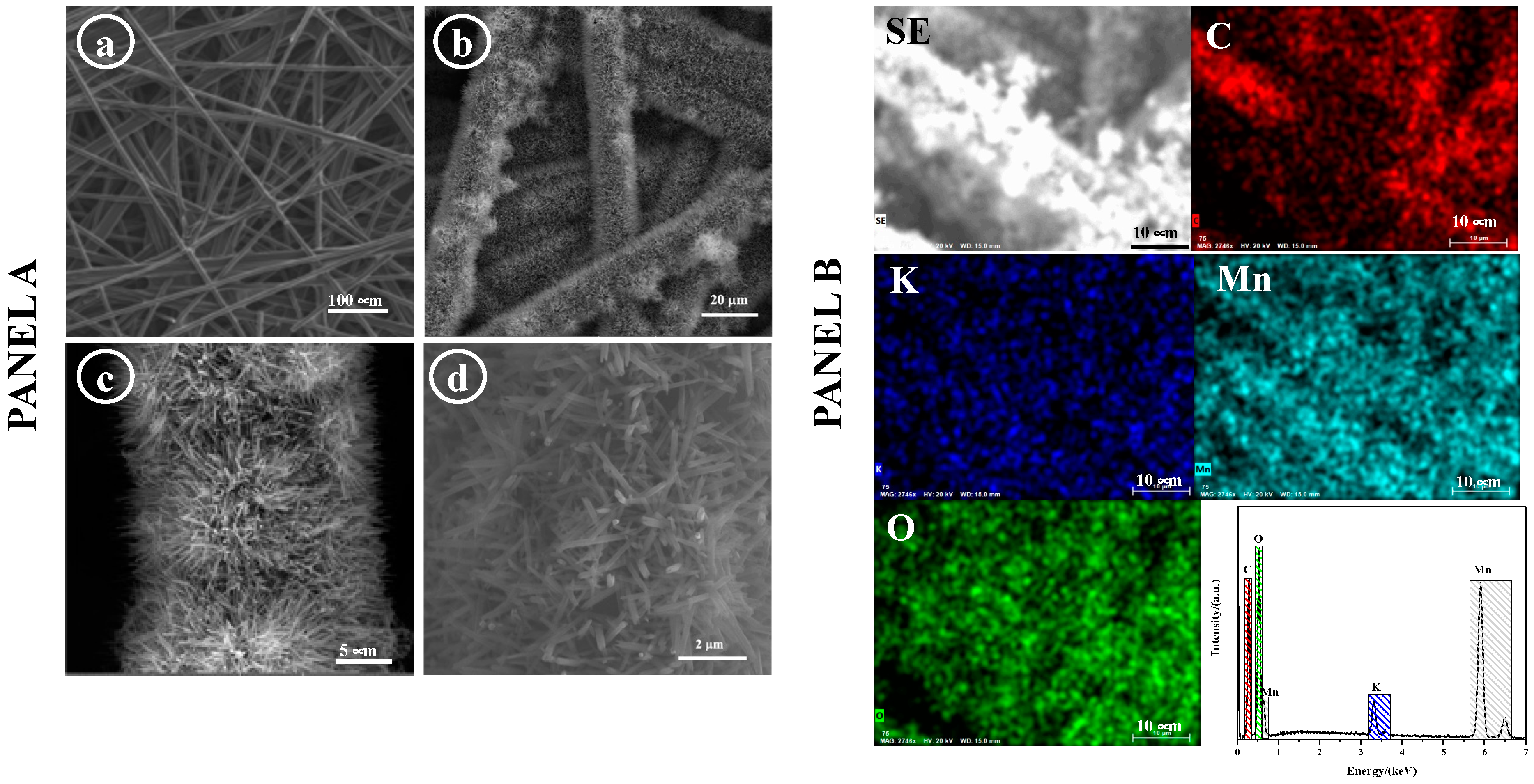 Sensors 24 05864 g001