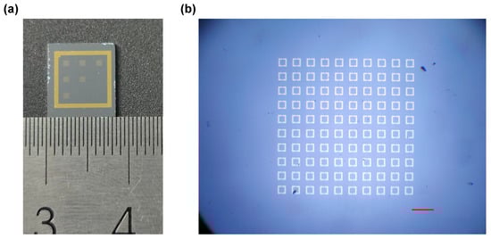 Sensors 24 05866 g0a1