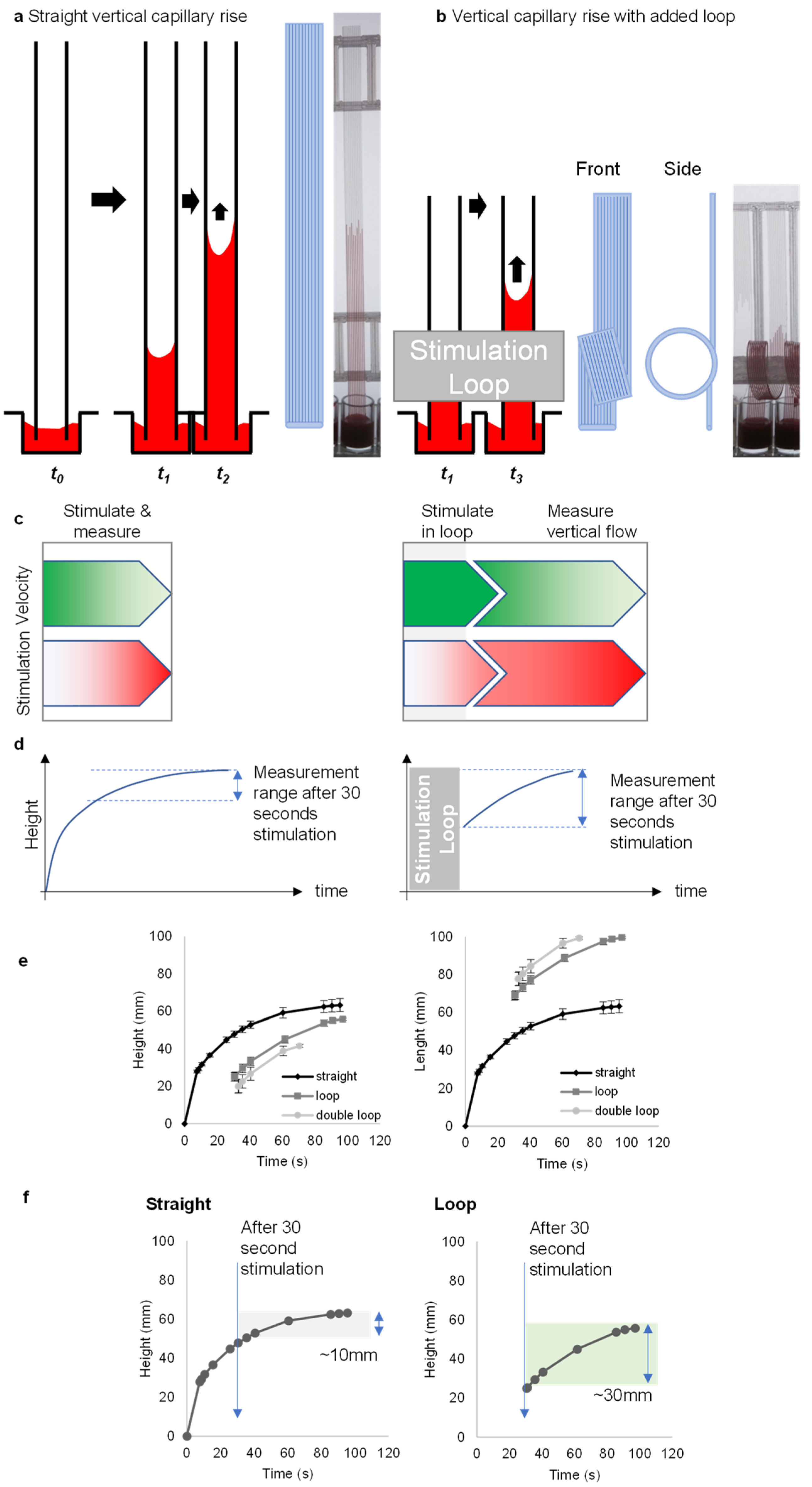 Sensors 24 05870 g001
