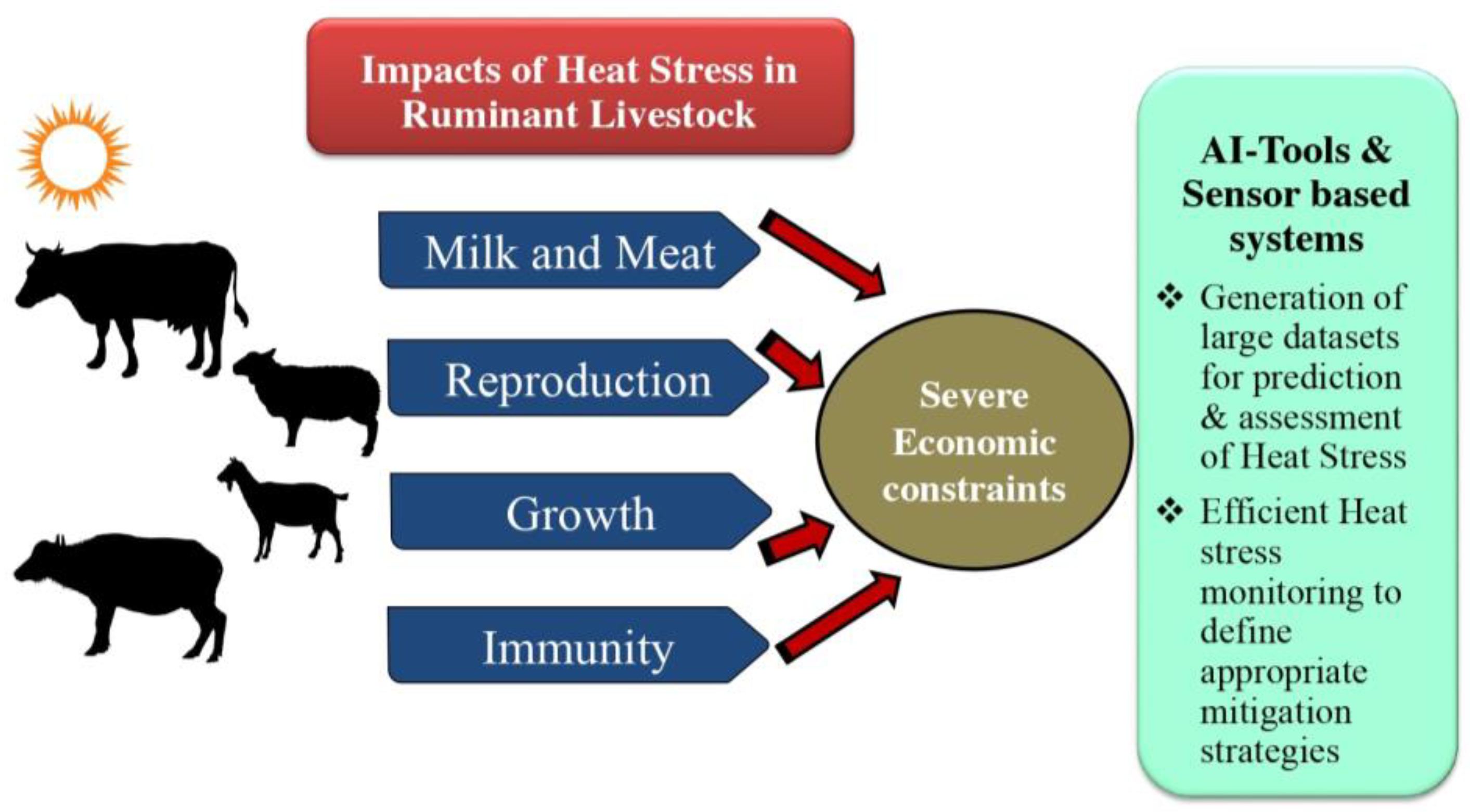 Sensors 24 05890 g001