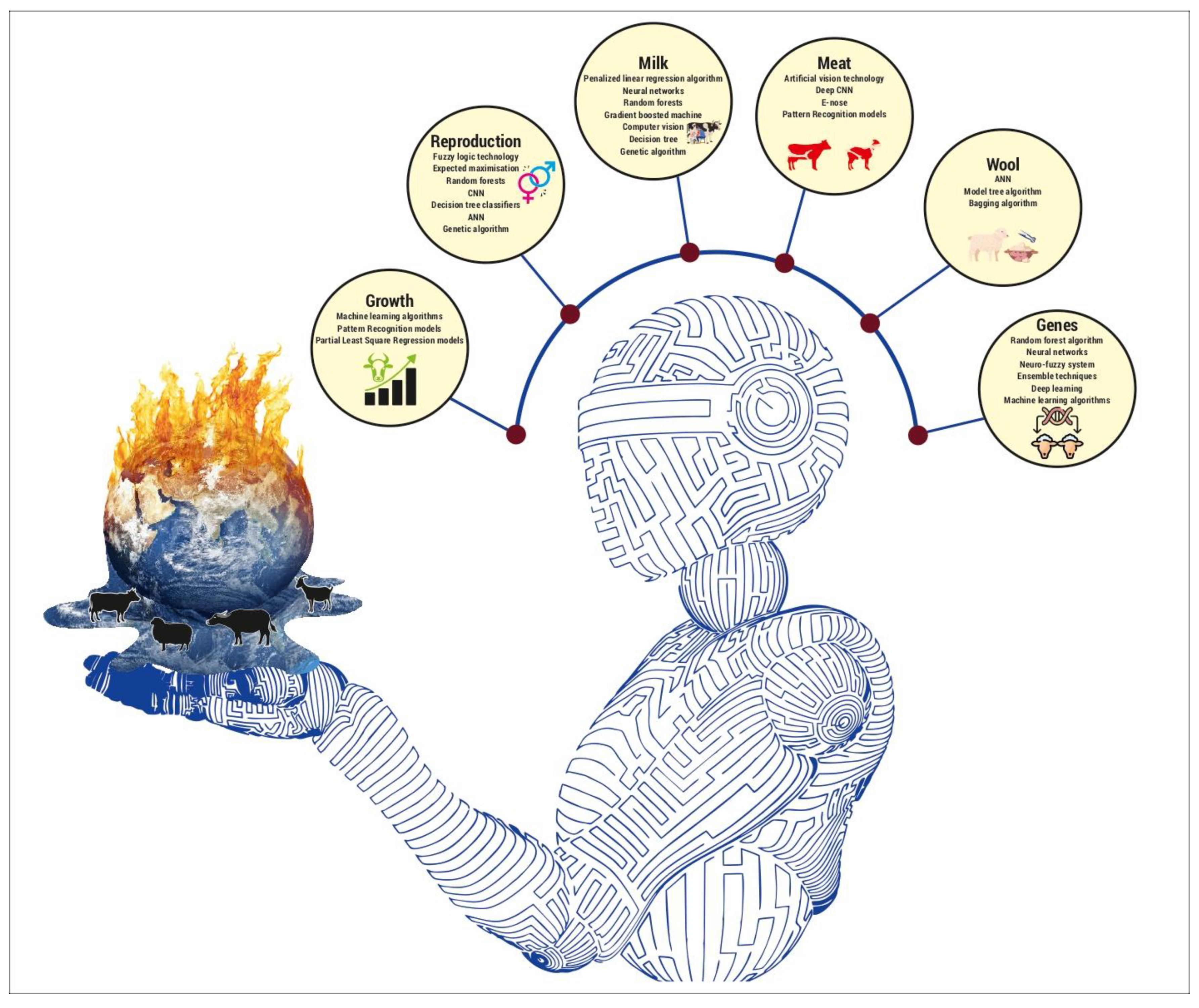 Sensors 24 05890 g003