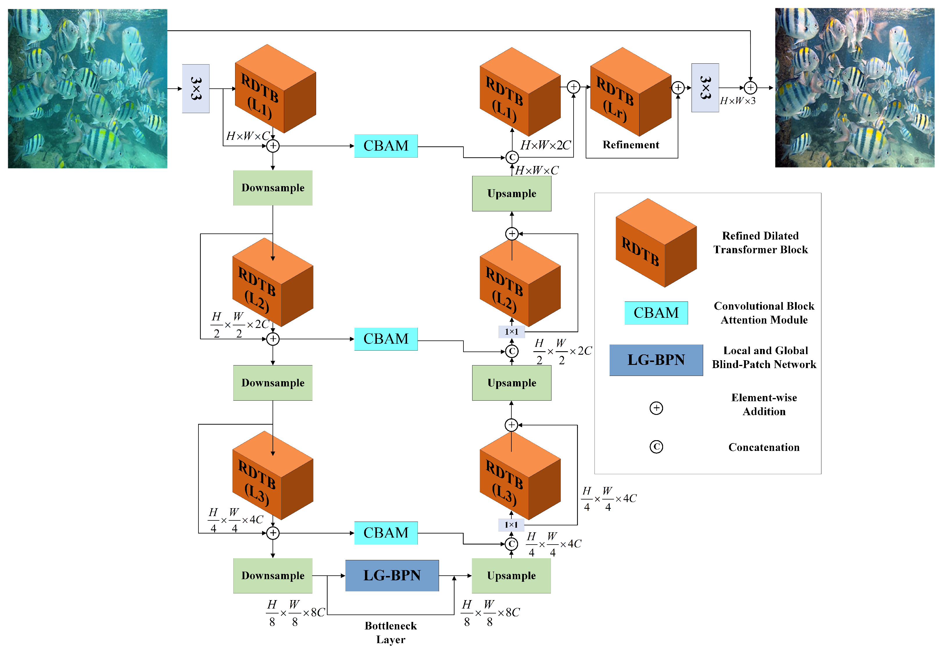 Sensors 24 05893 g001