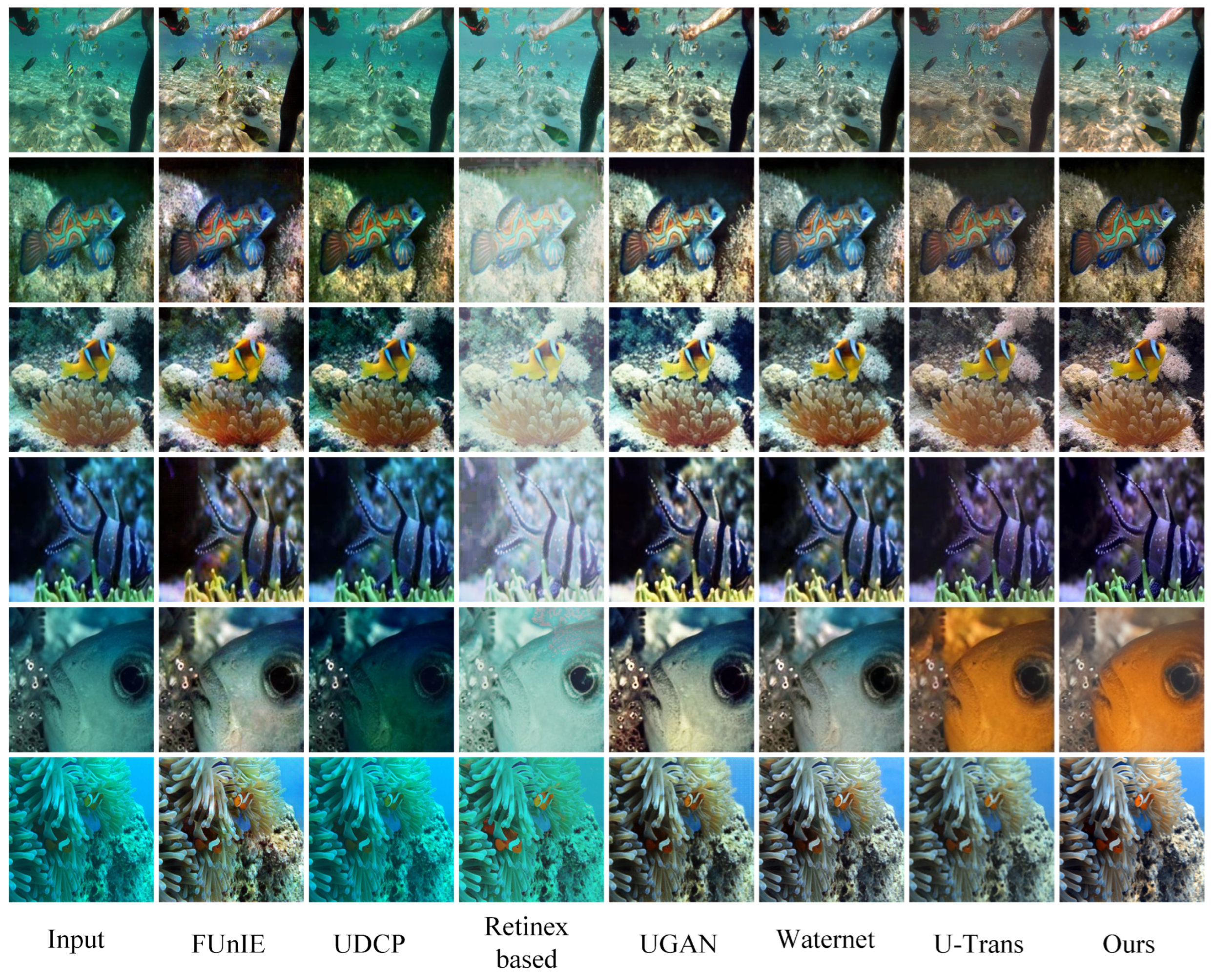 Sensors 24 05893 g004