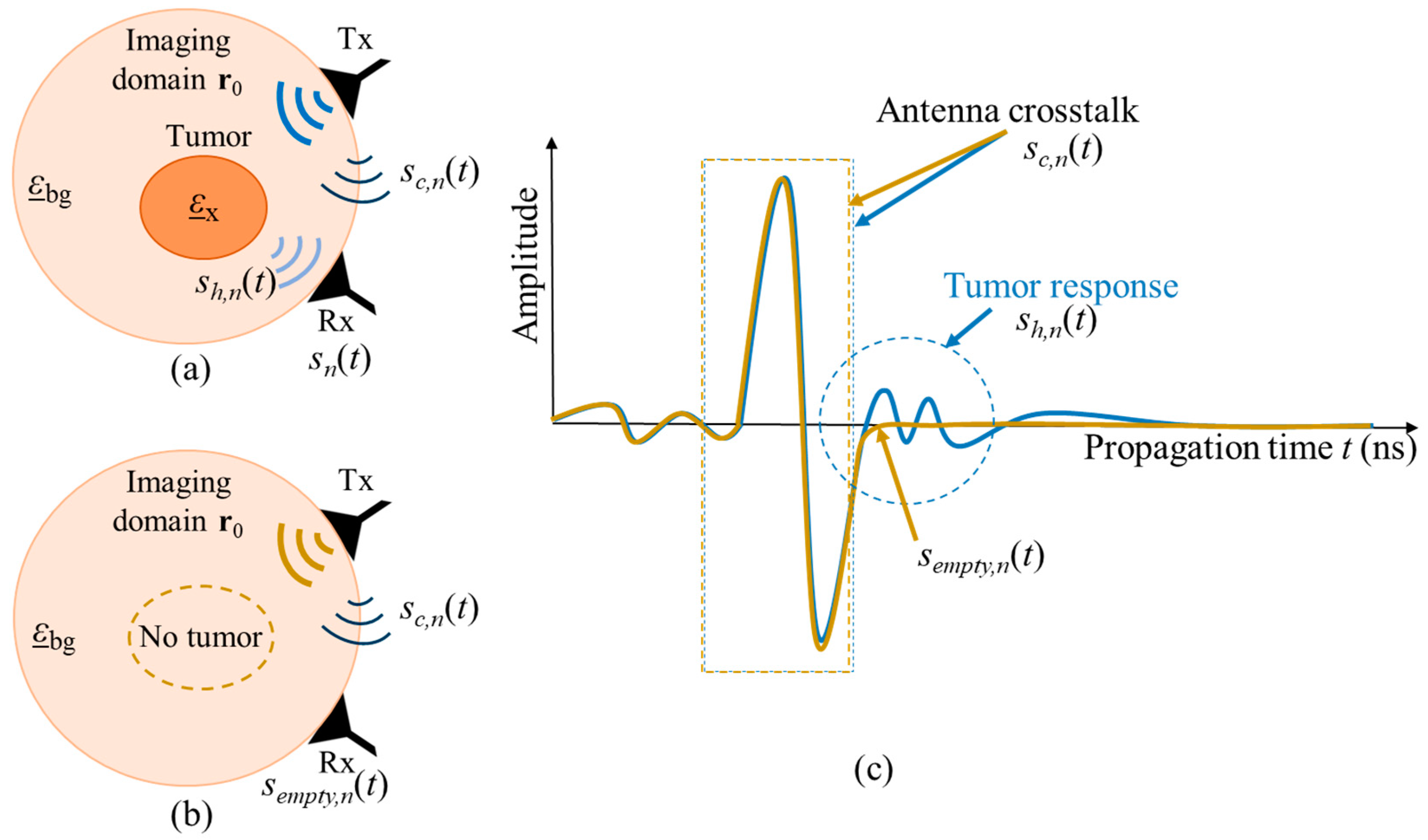Sensors 24 05902 g002
