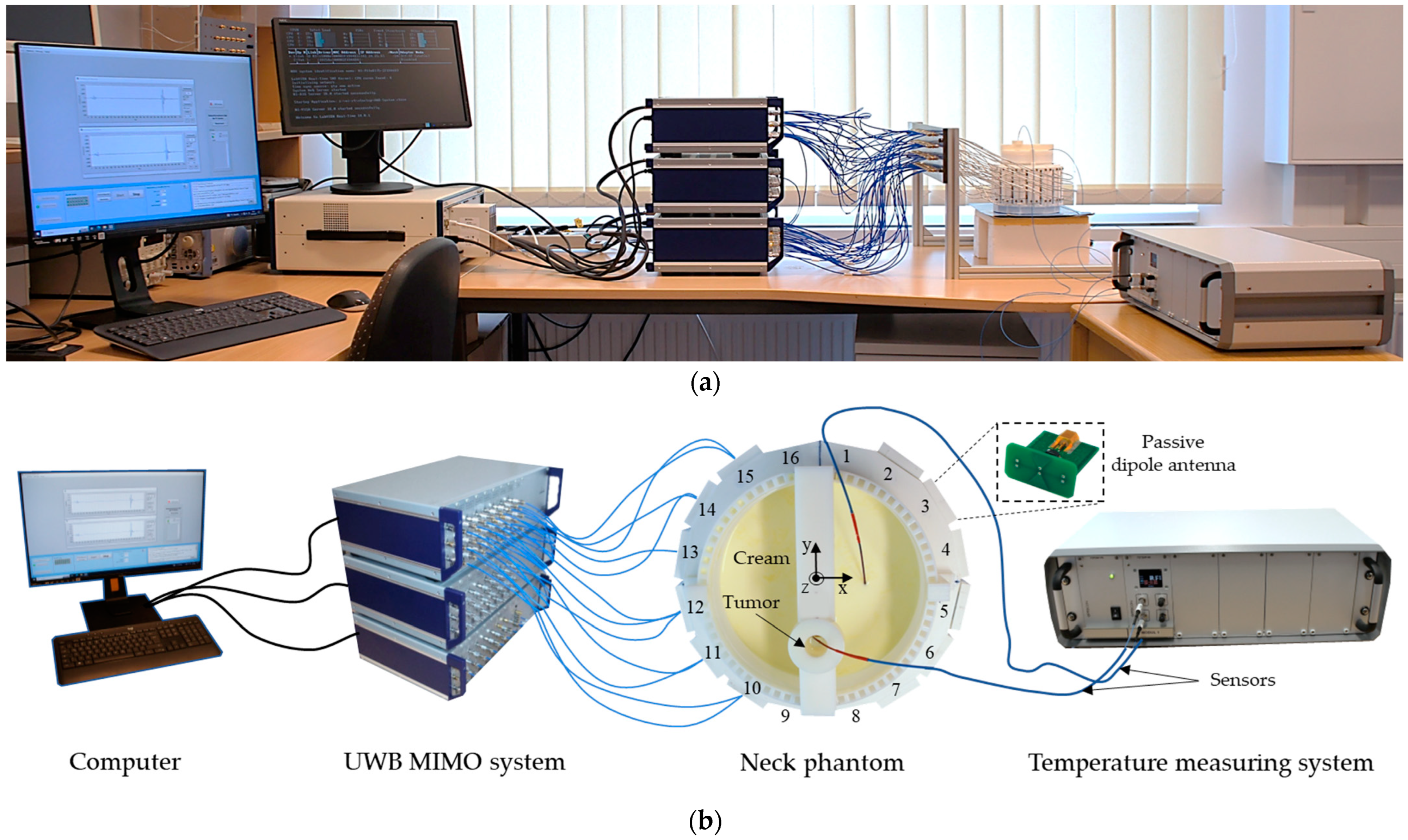 Sensors 24 05902 g008