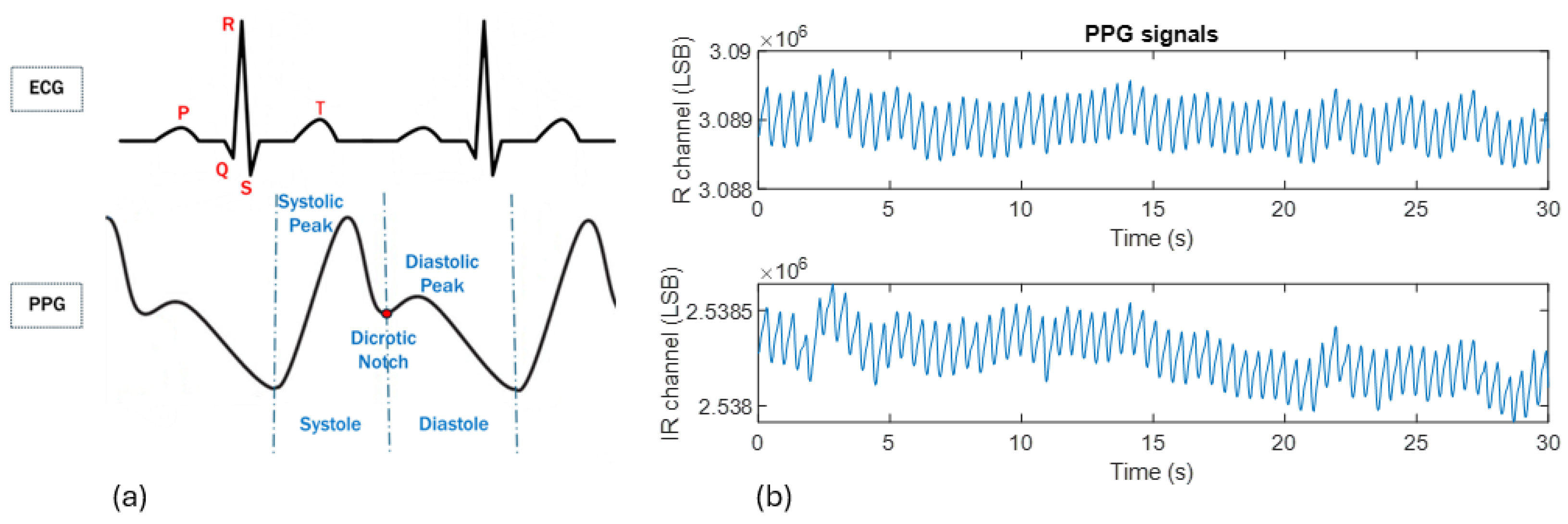 Sensors 24 05908 g003