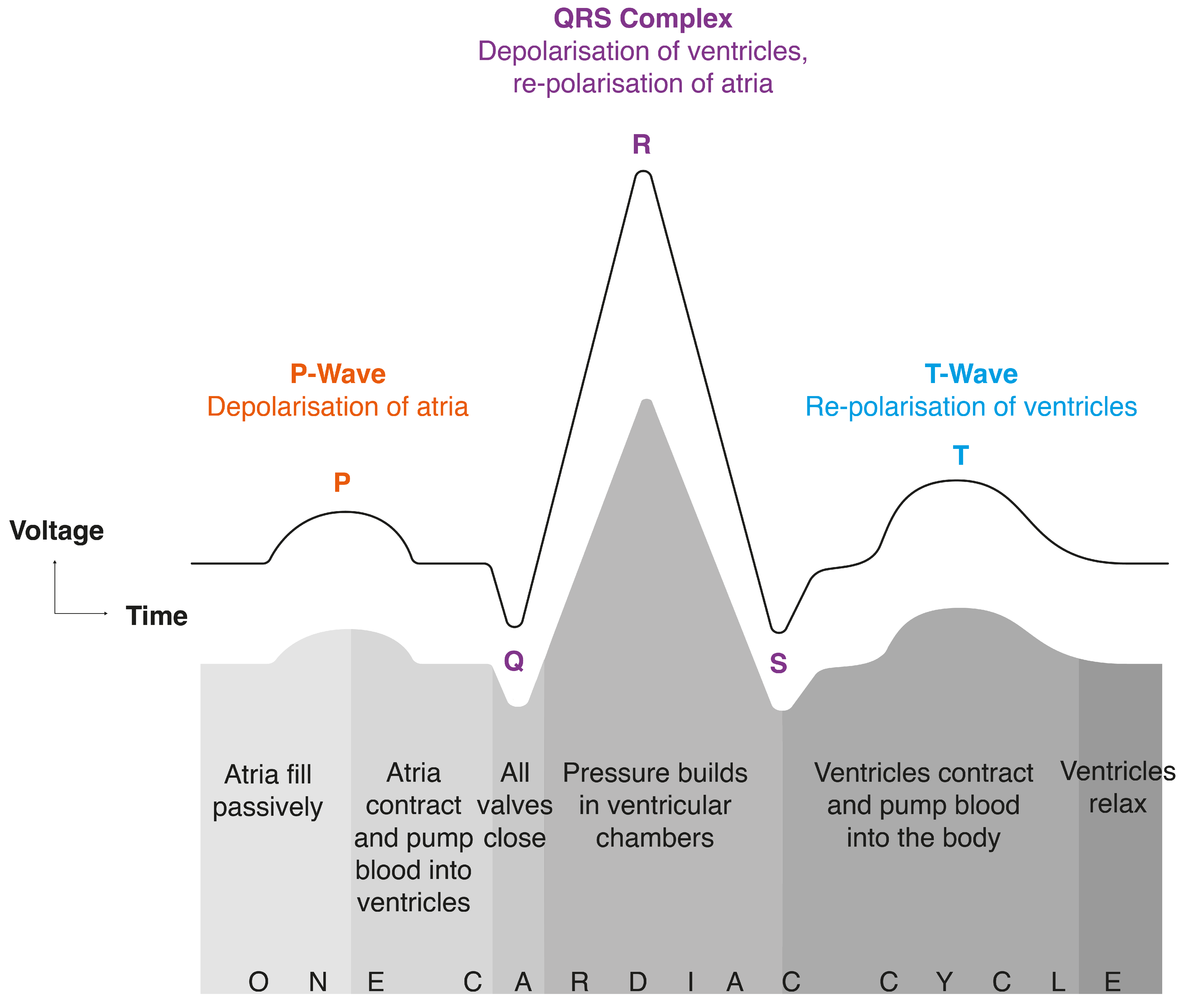 Sensors 24 05924 g001