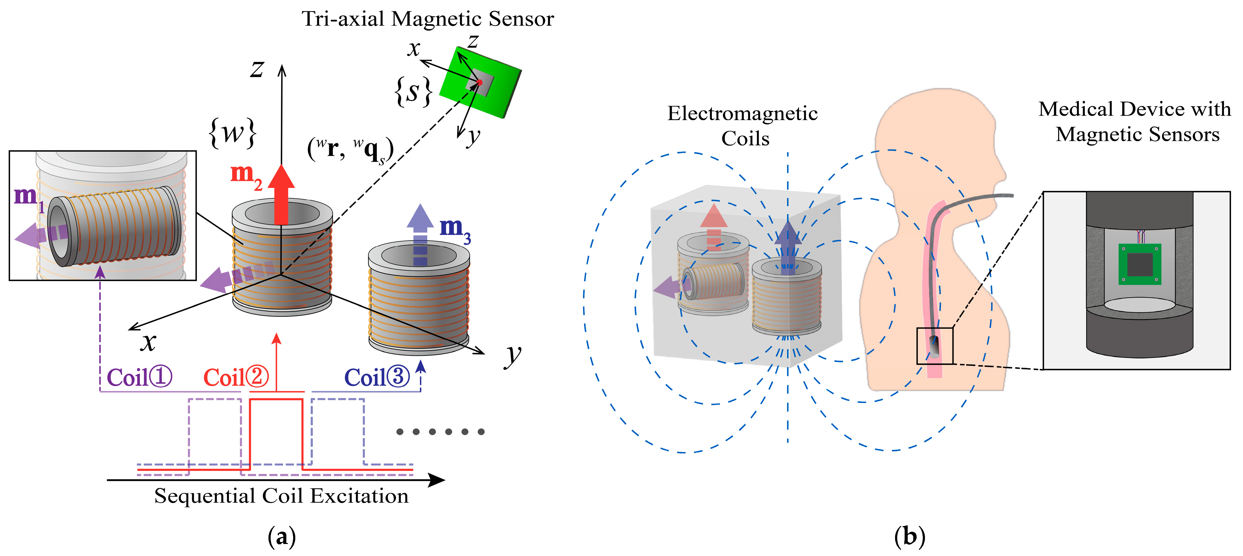 Sensors 24 05956 g001