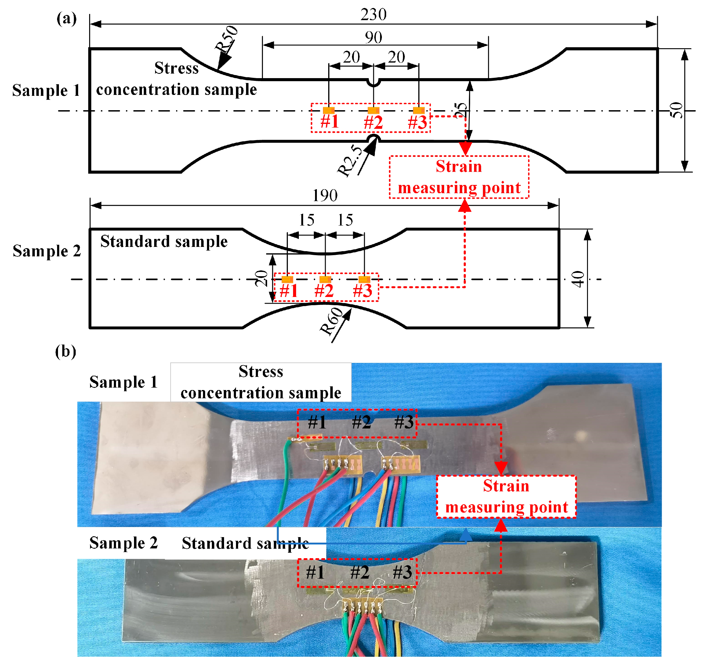 Sensors 24 05961 g003