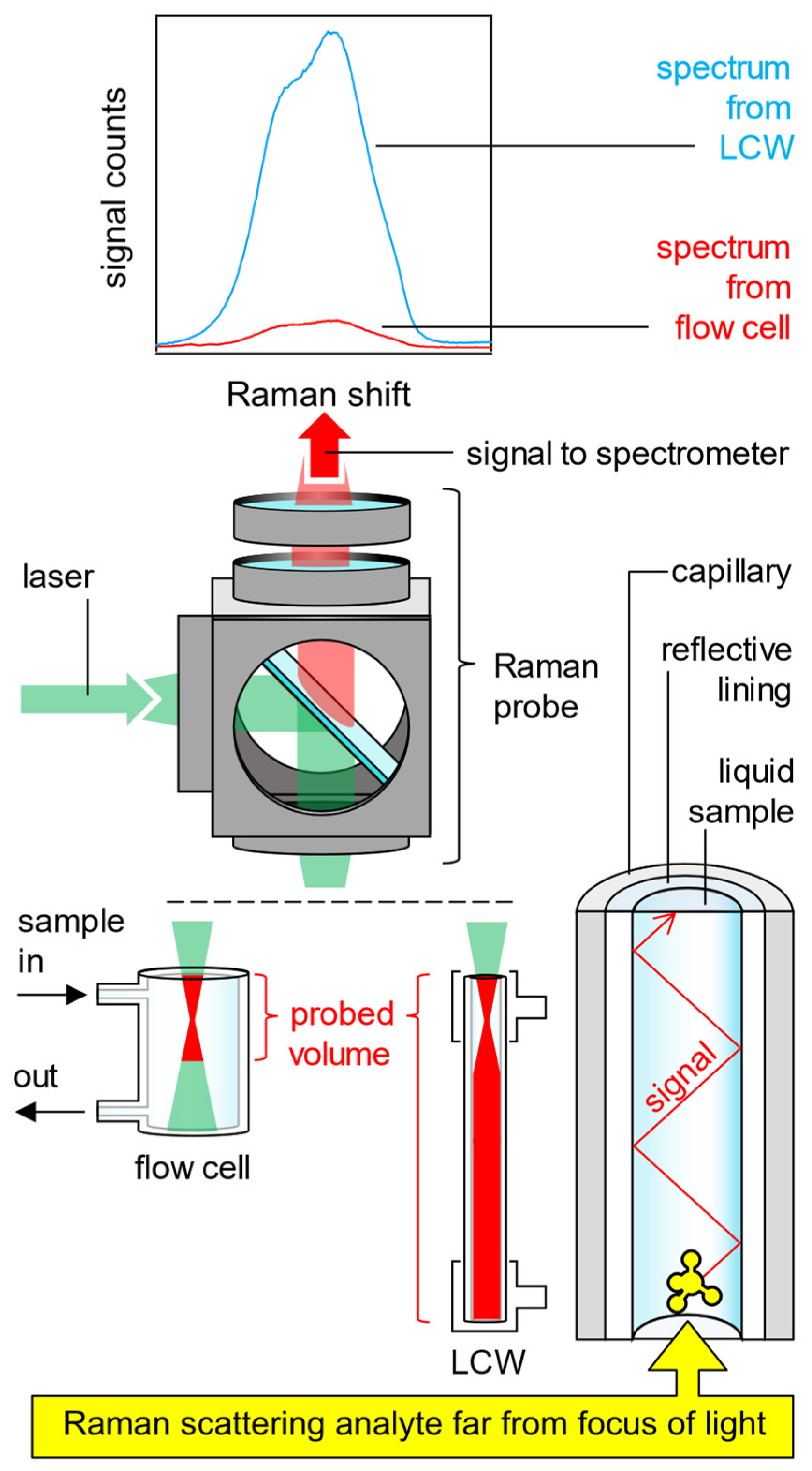 Sensors 24 05979 g001