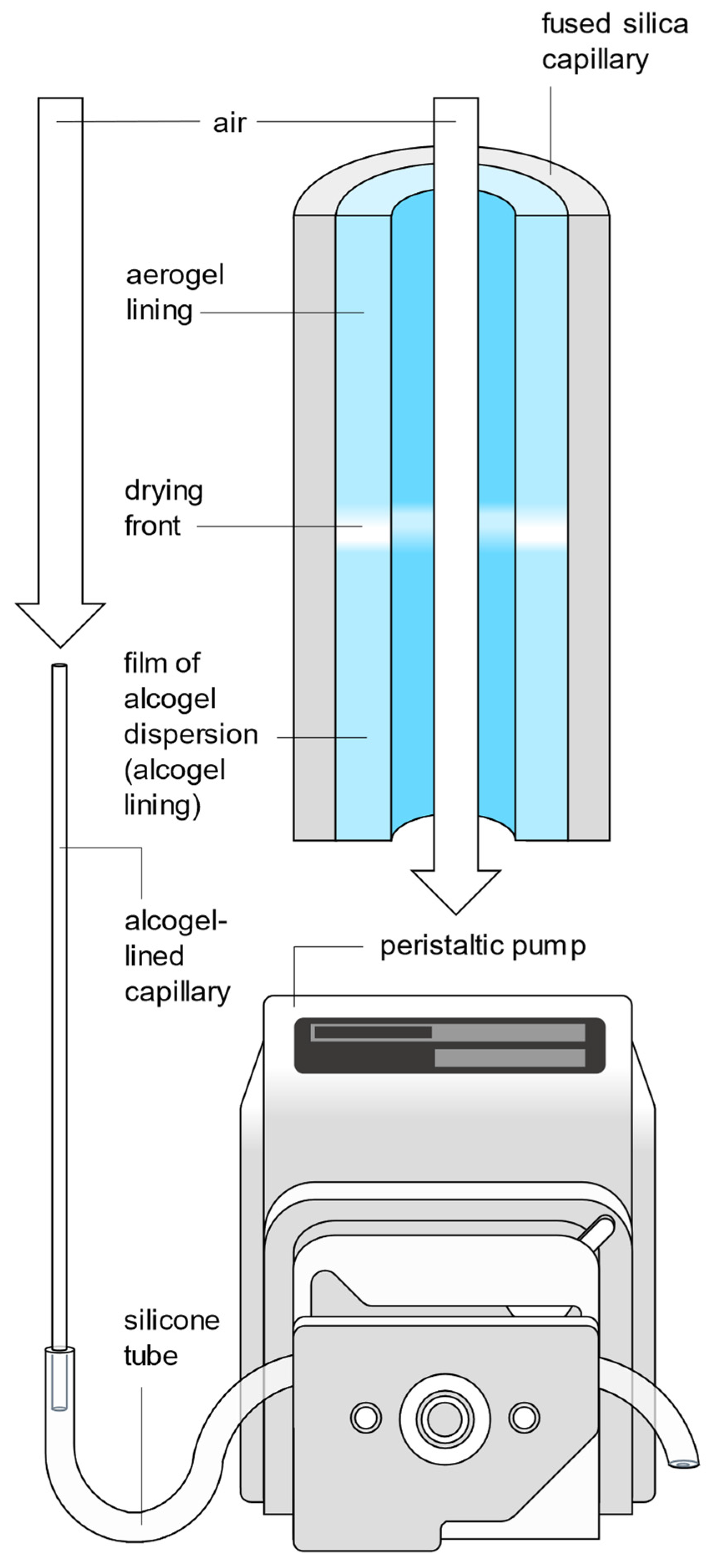 Sensors 24 05979 g004