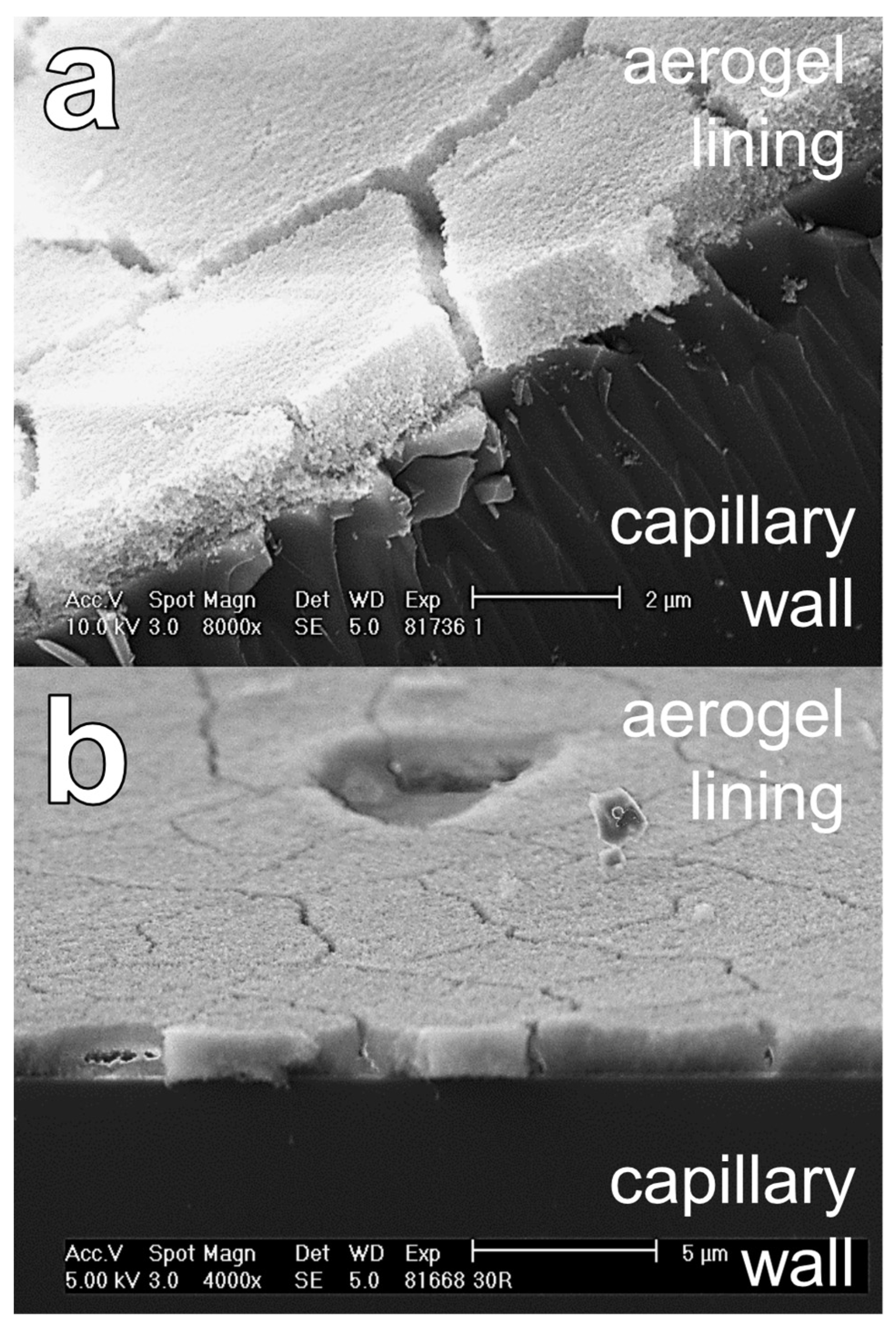 Sensors 24 05979 g009