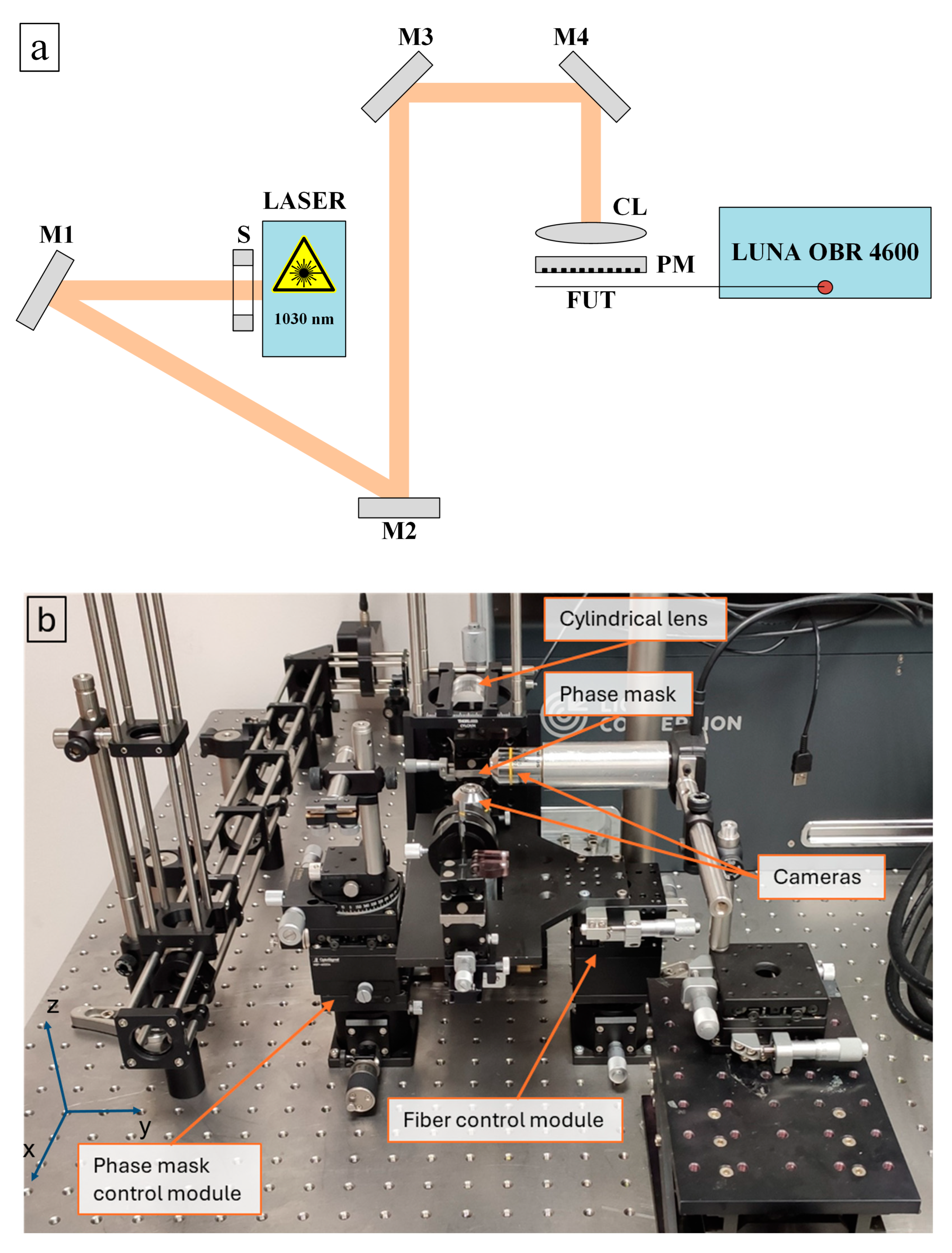 Sensors 24 05980 g001