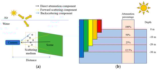 Sensors 24 05981 g001
