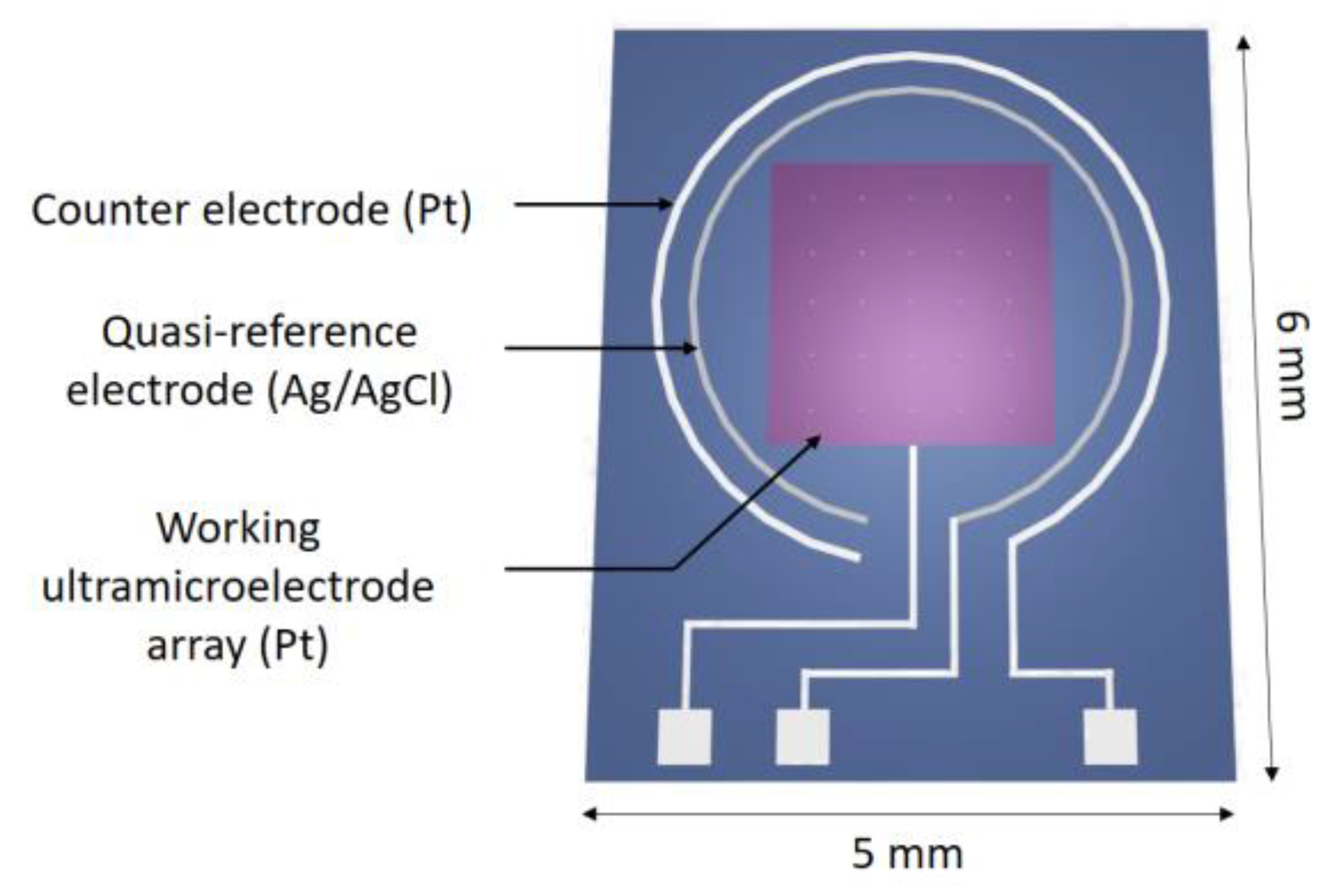 Sensors 24 05994 g001