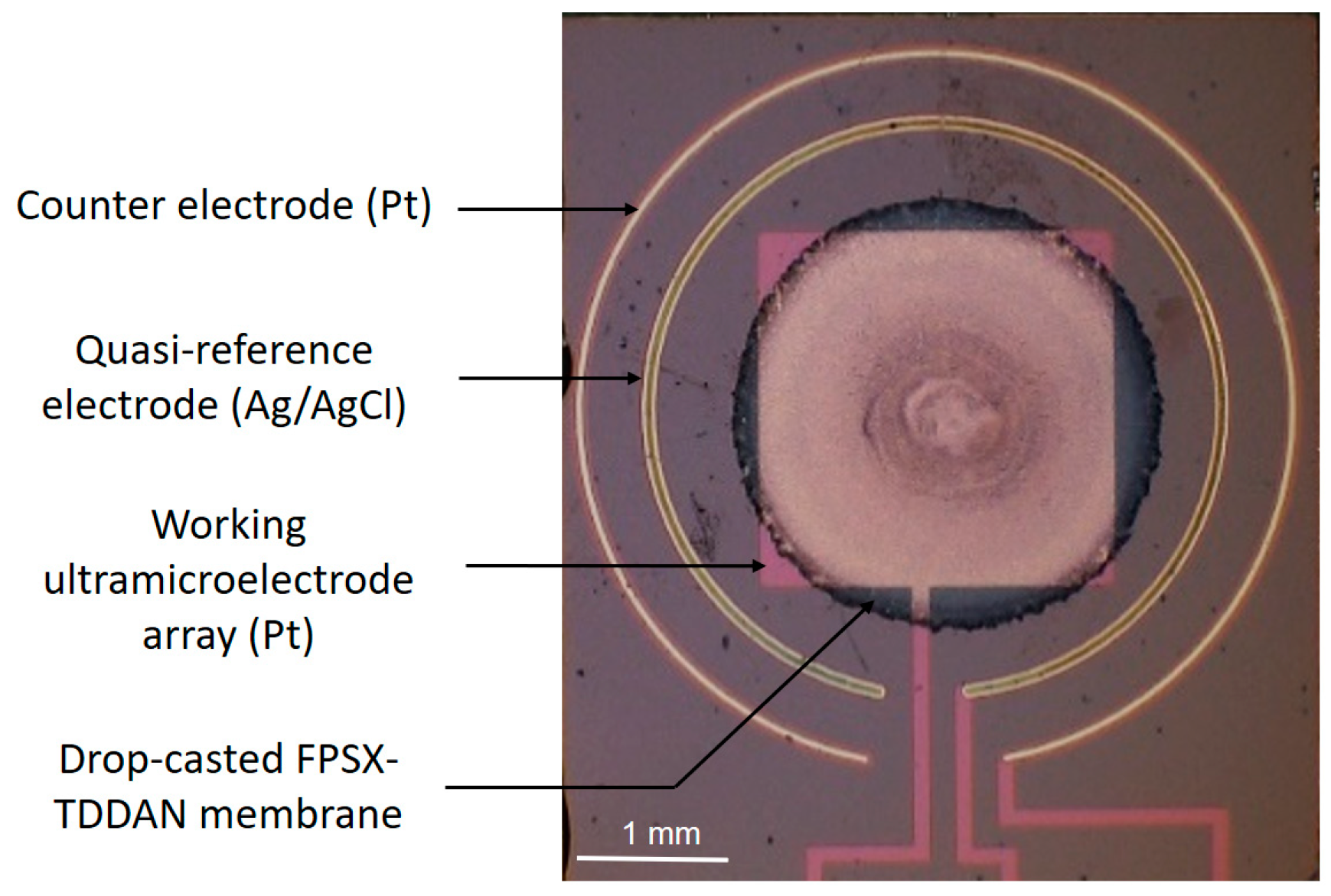 Sensors 24 05994 g003