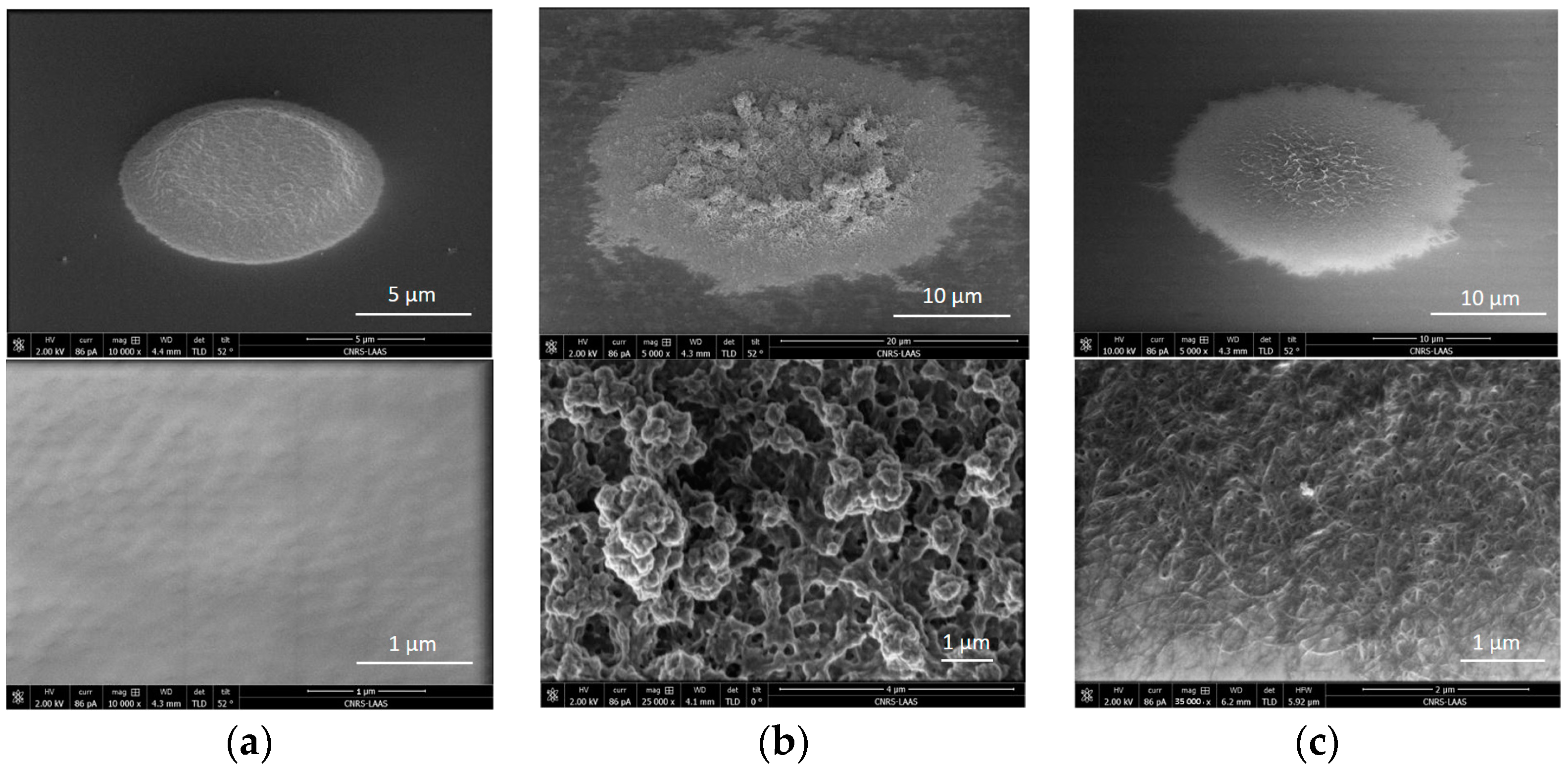 Sensors 24 05994 g006