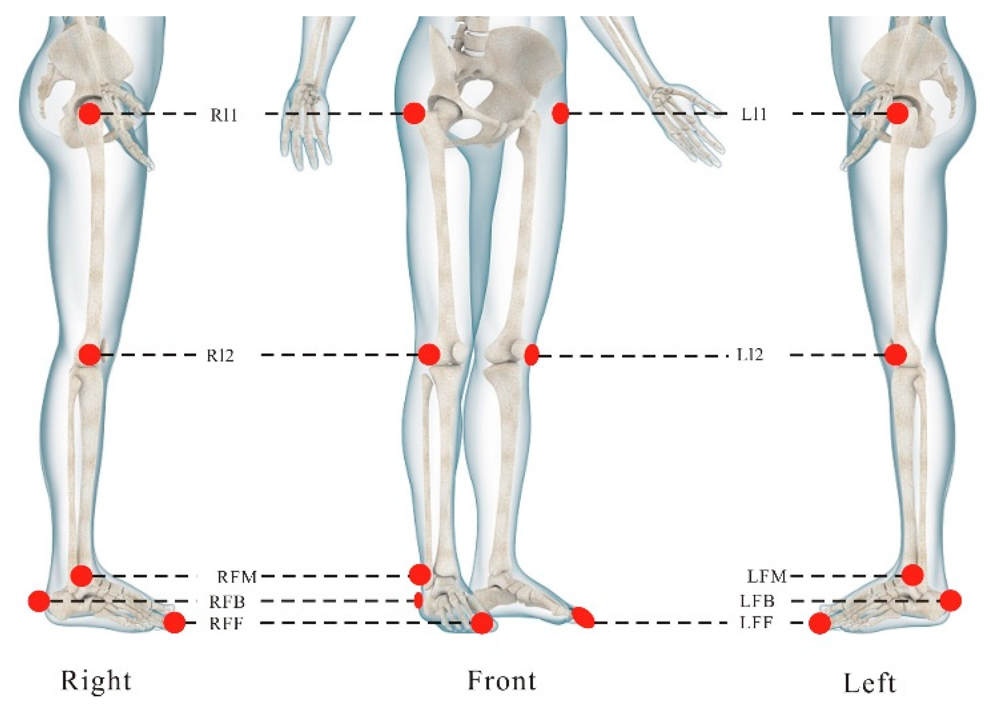 Sensors 24 05998 g002