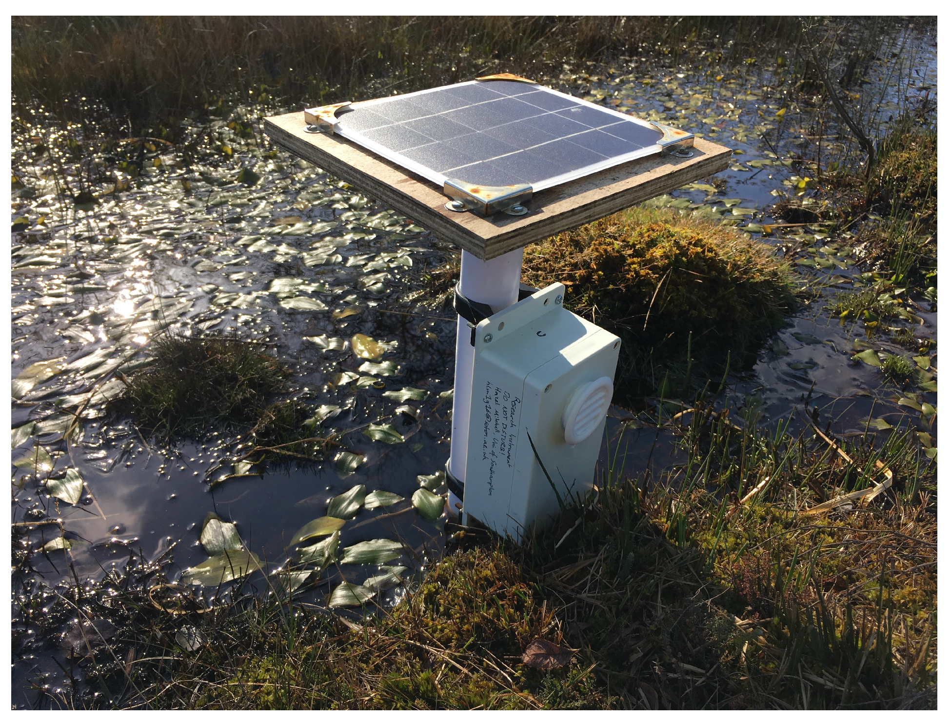 Sensors 24 06019 g007