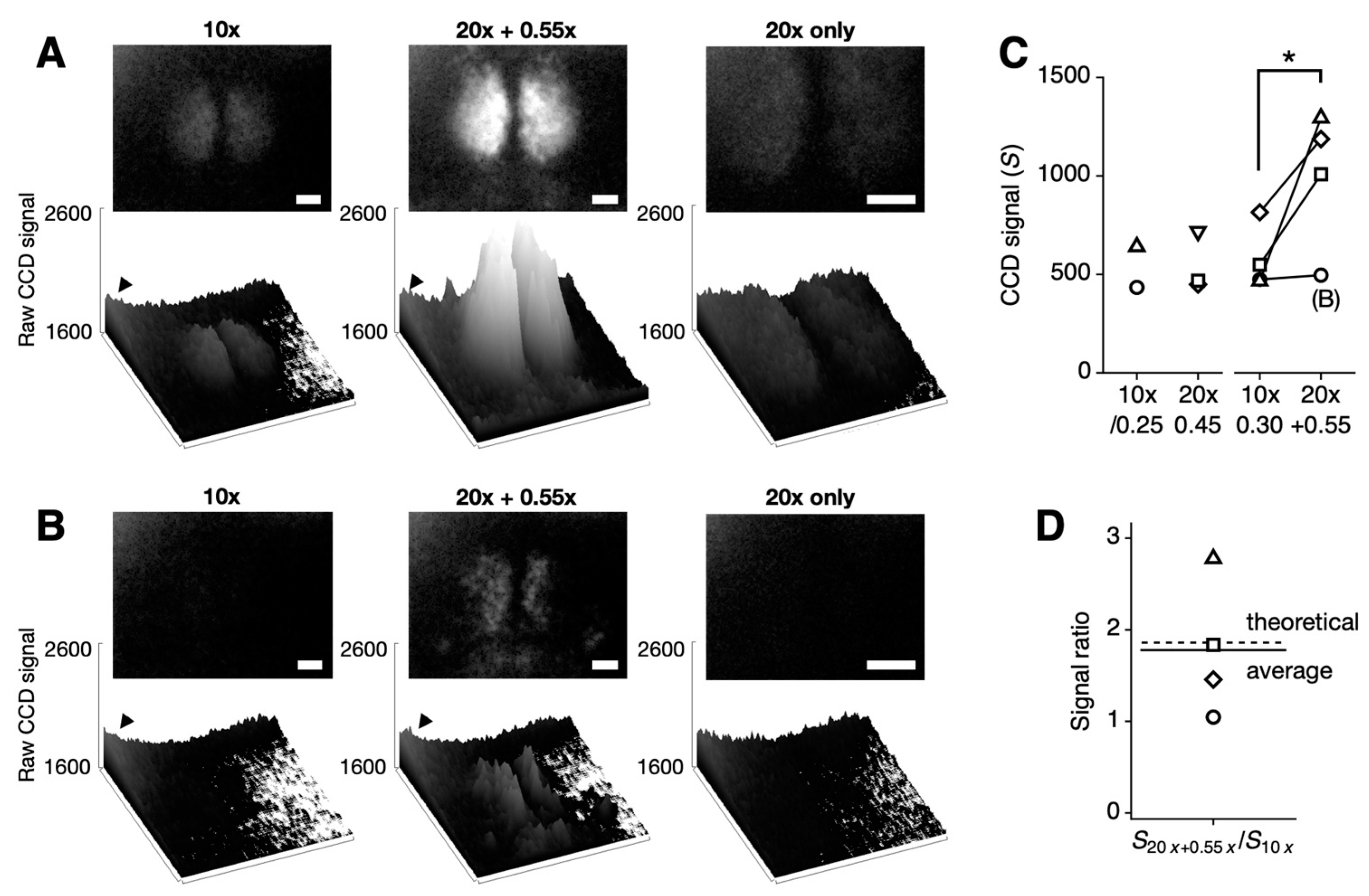 Sensors 24 06041 g002