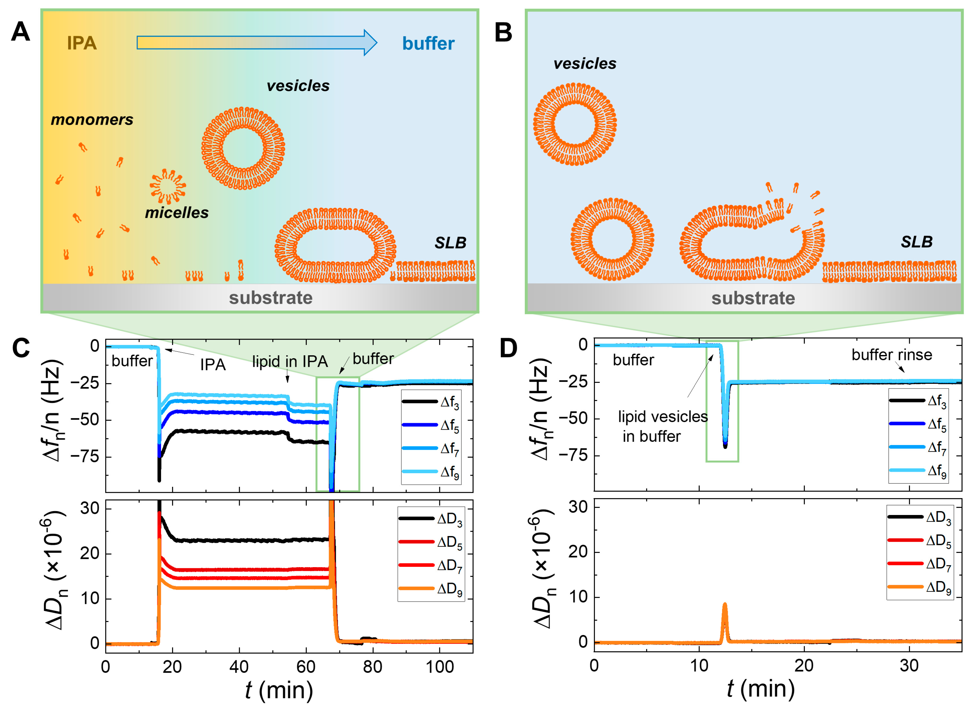 Sensors 24 06093 g001