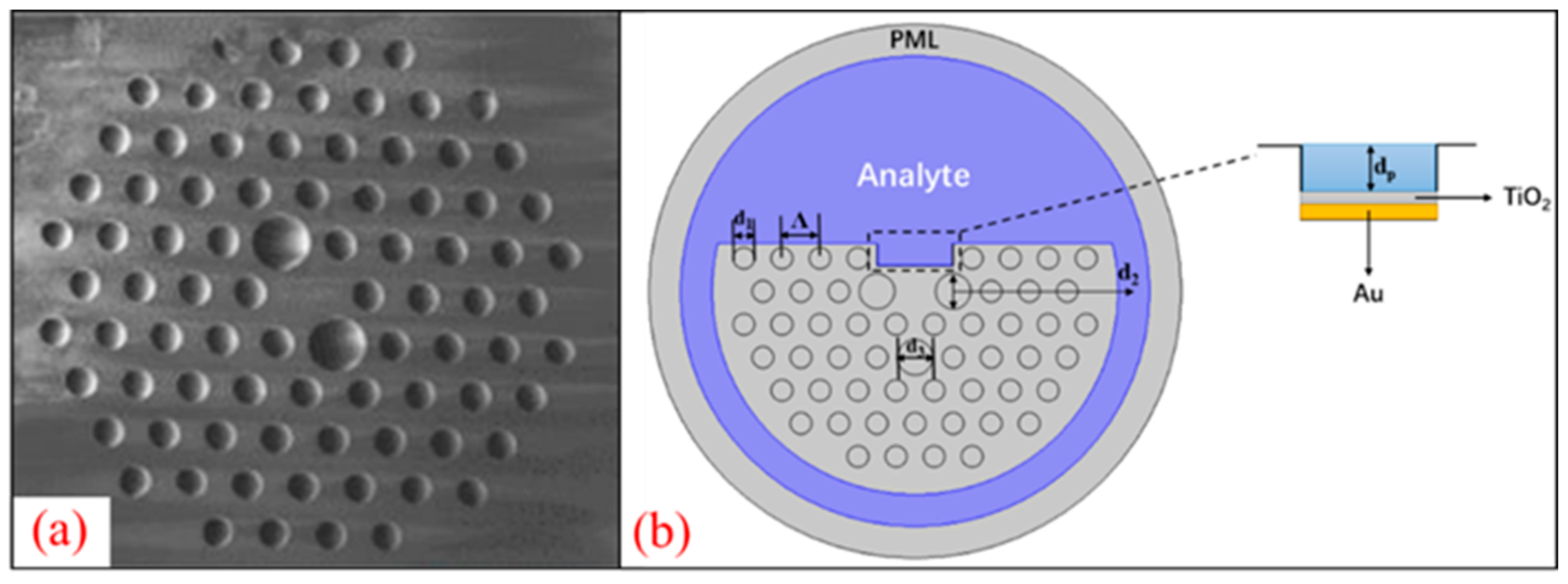 Sensors 24 06118 g001