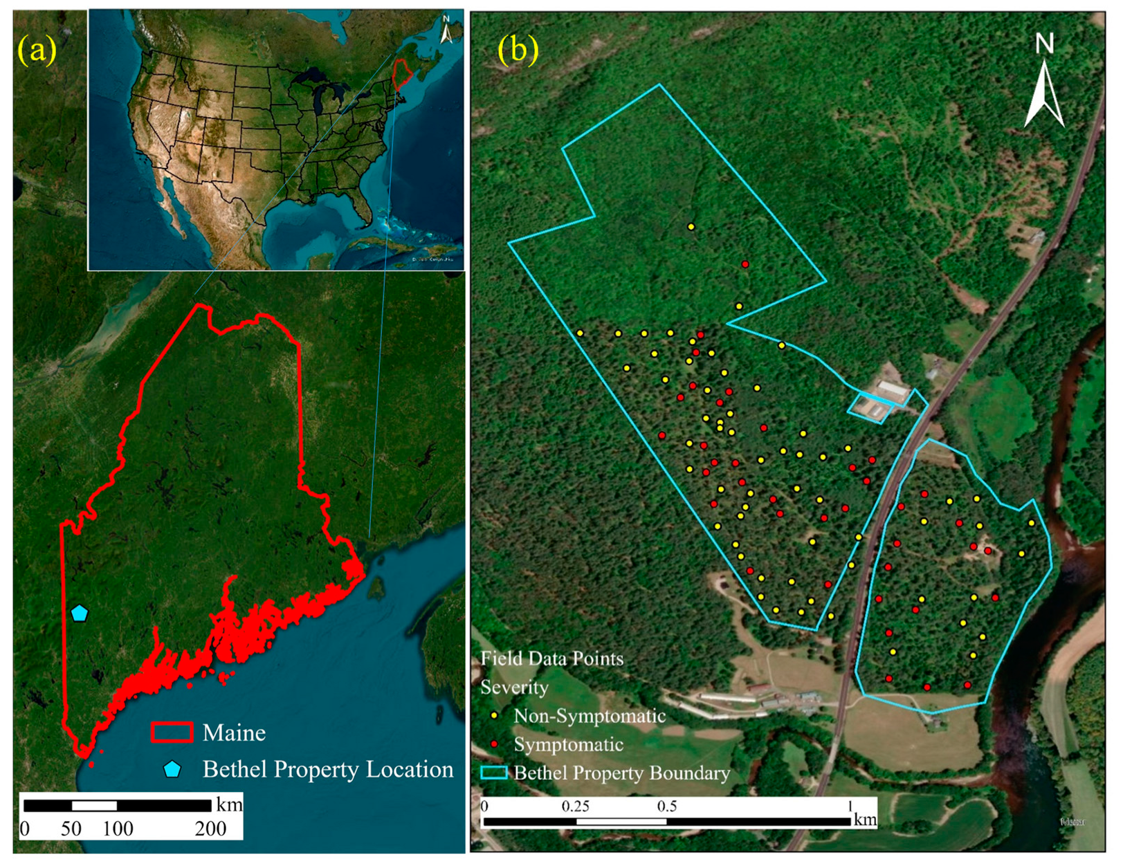 Sensors 24 06129 g001